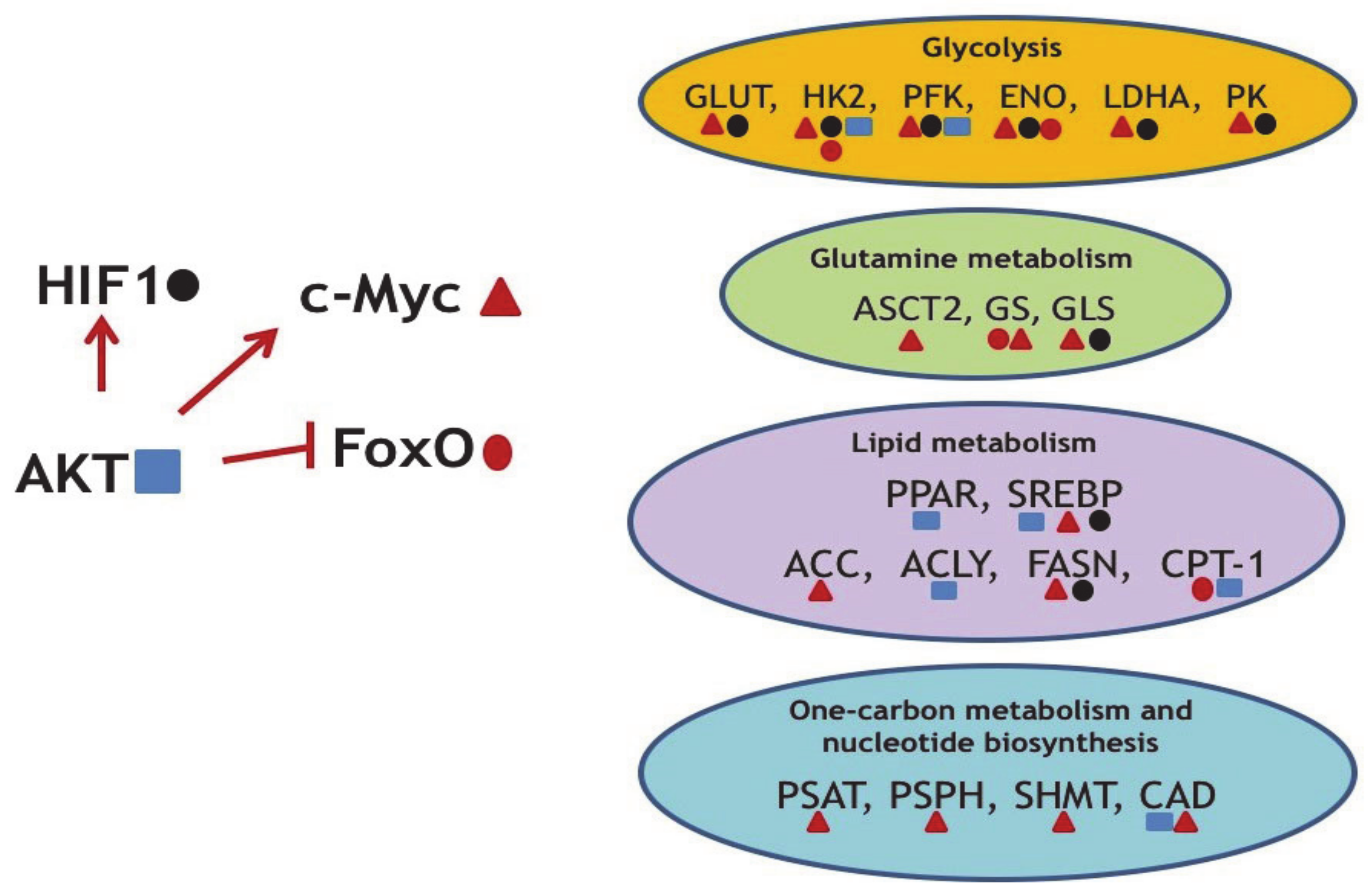 Cancers 13 00762 g002