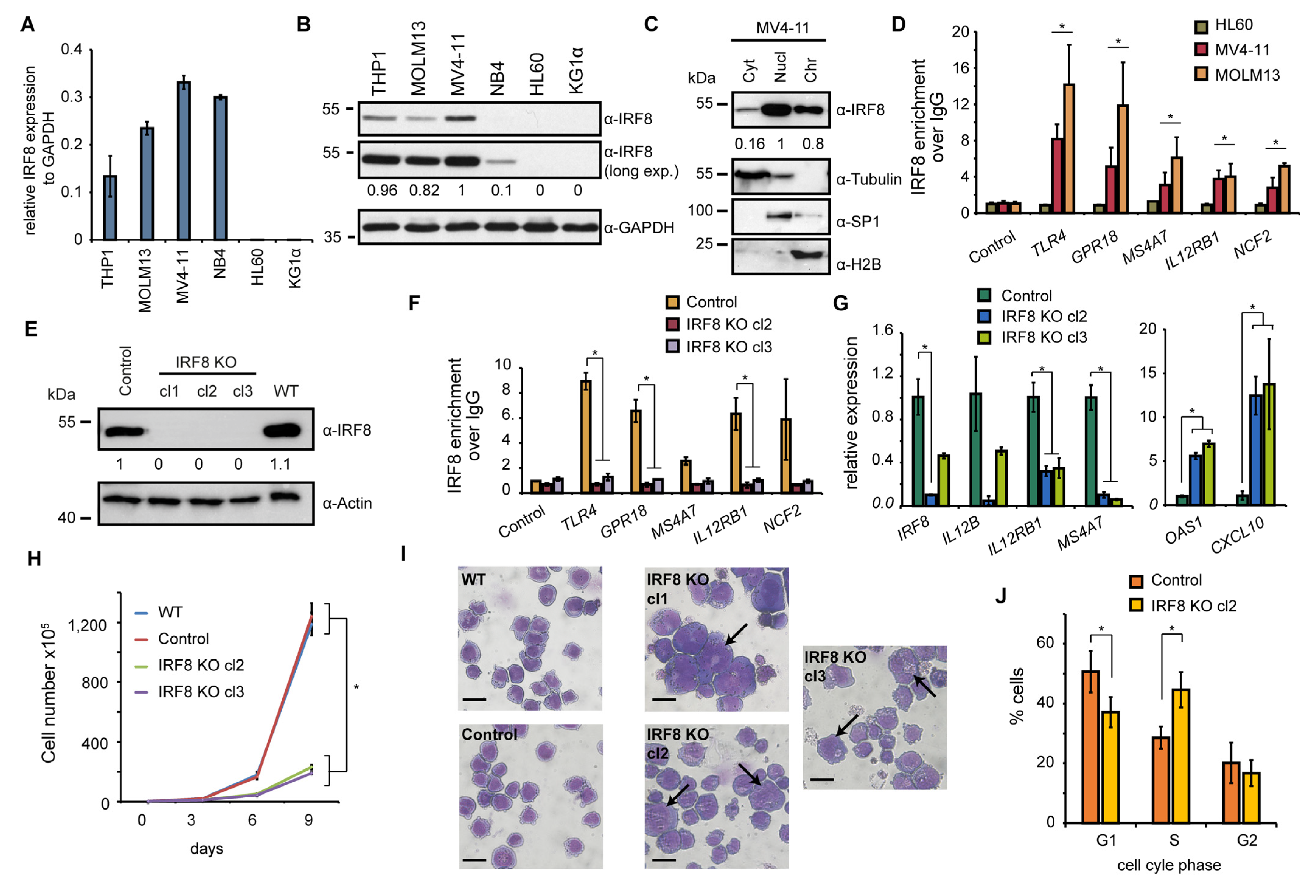 Cancers 13 00764 g003
