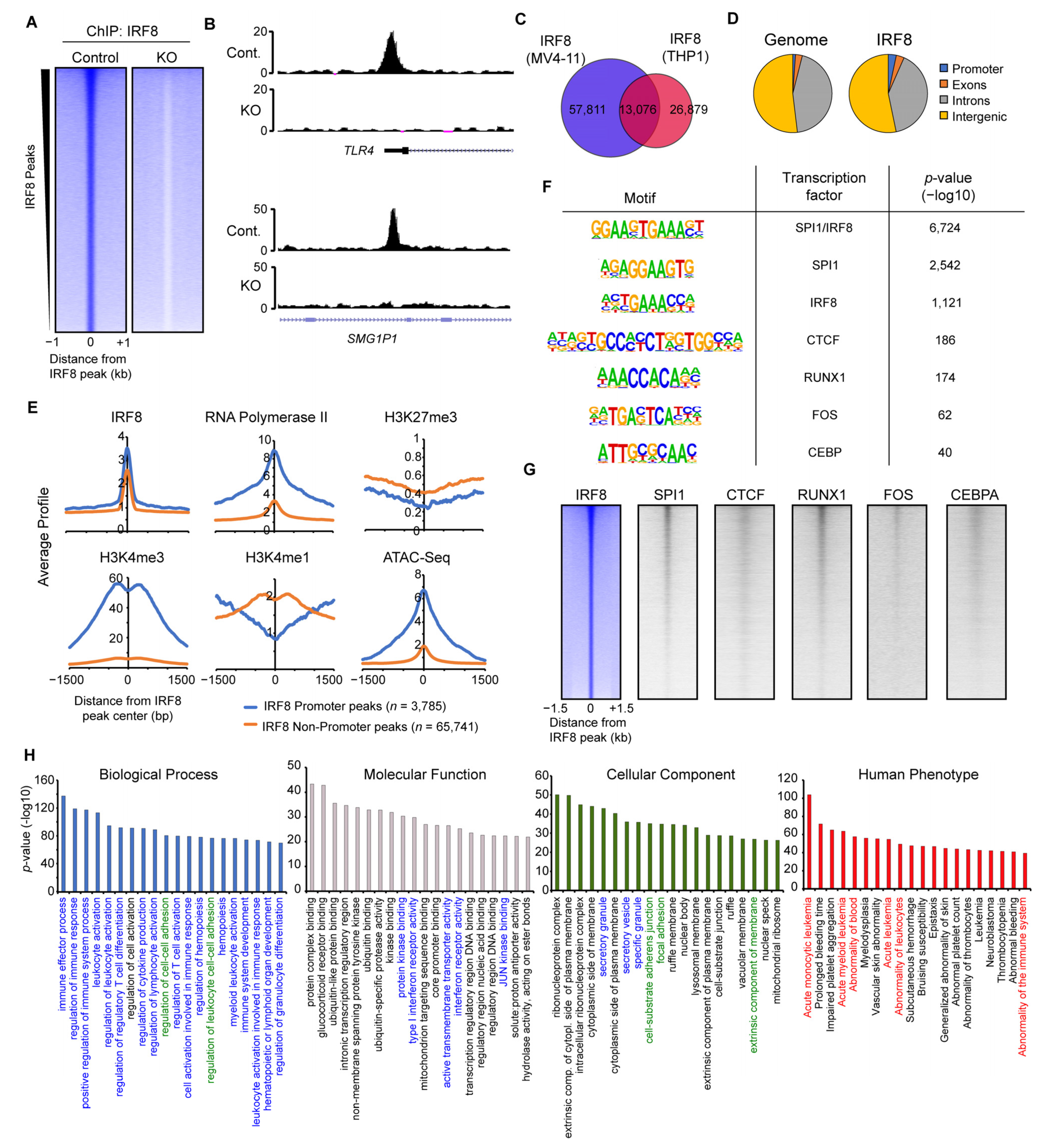 Cancers 13 00764 g004