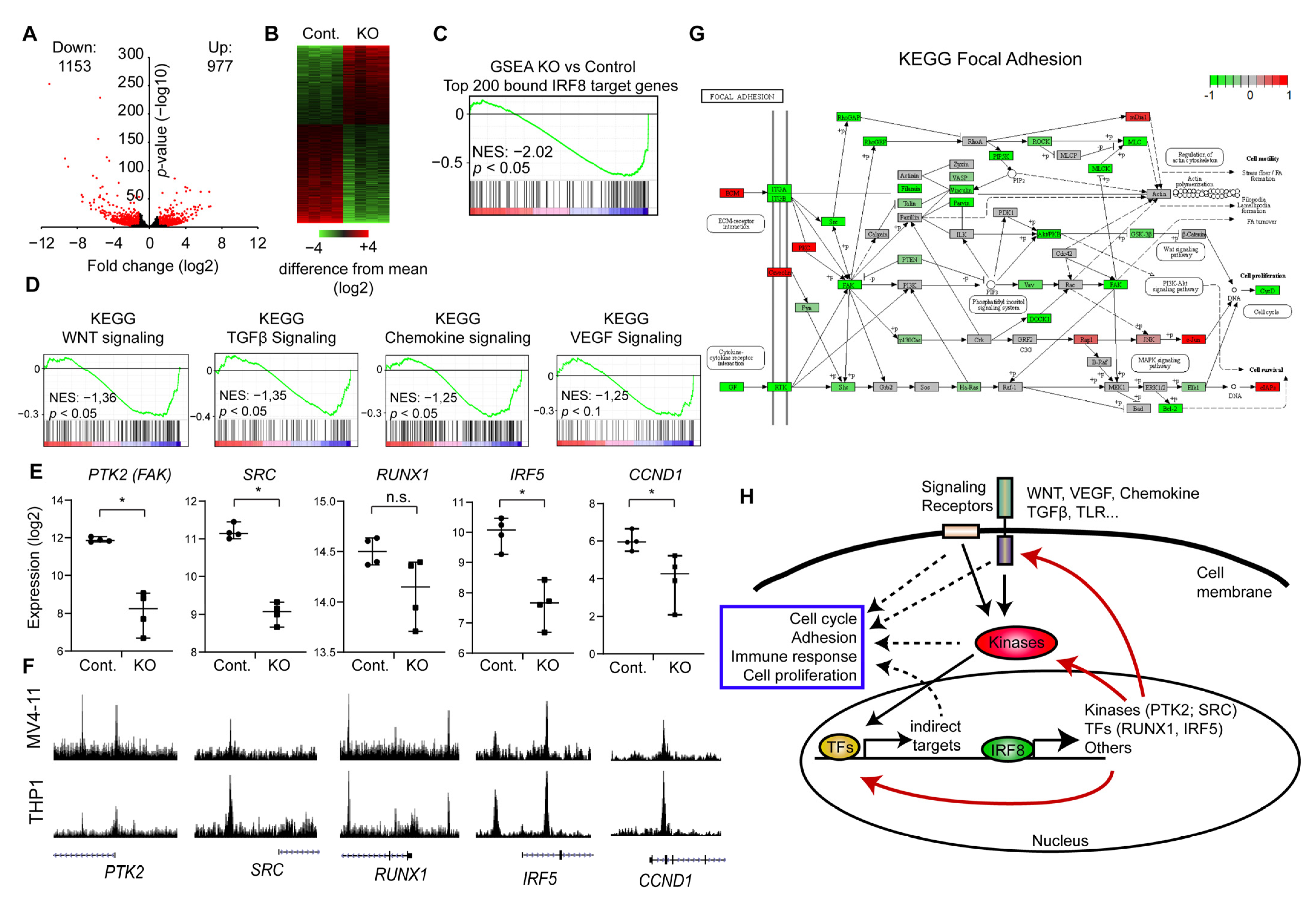 Cancers 13 00764 g005