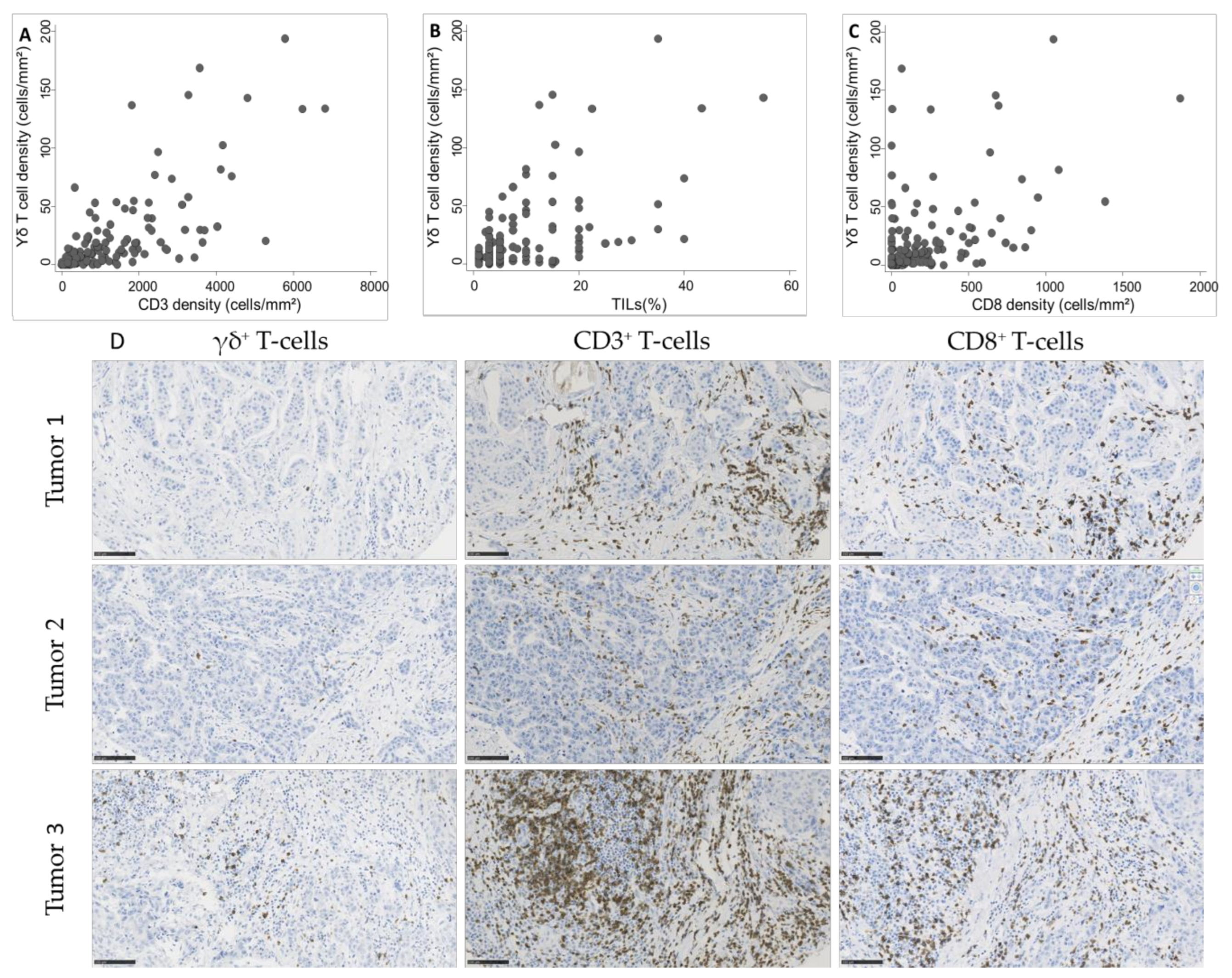 Cancers 13 00765 g003 Cancers 13 00765 g003