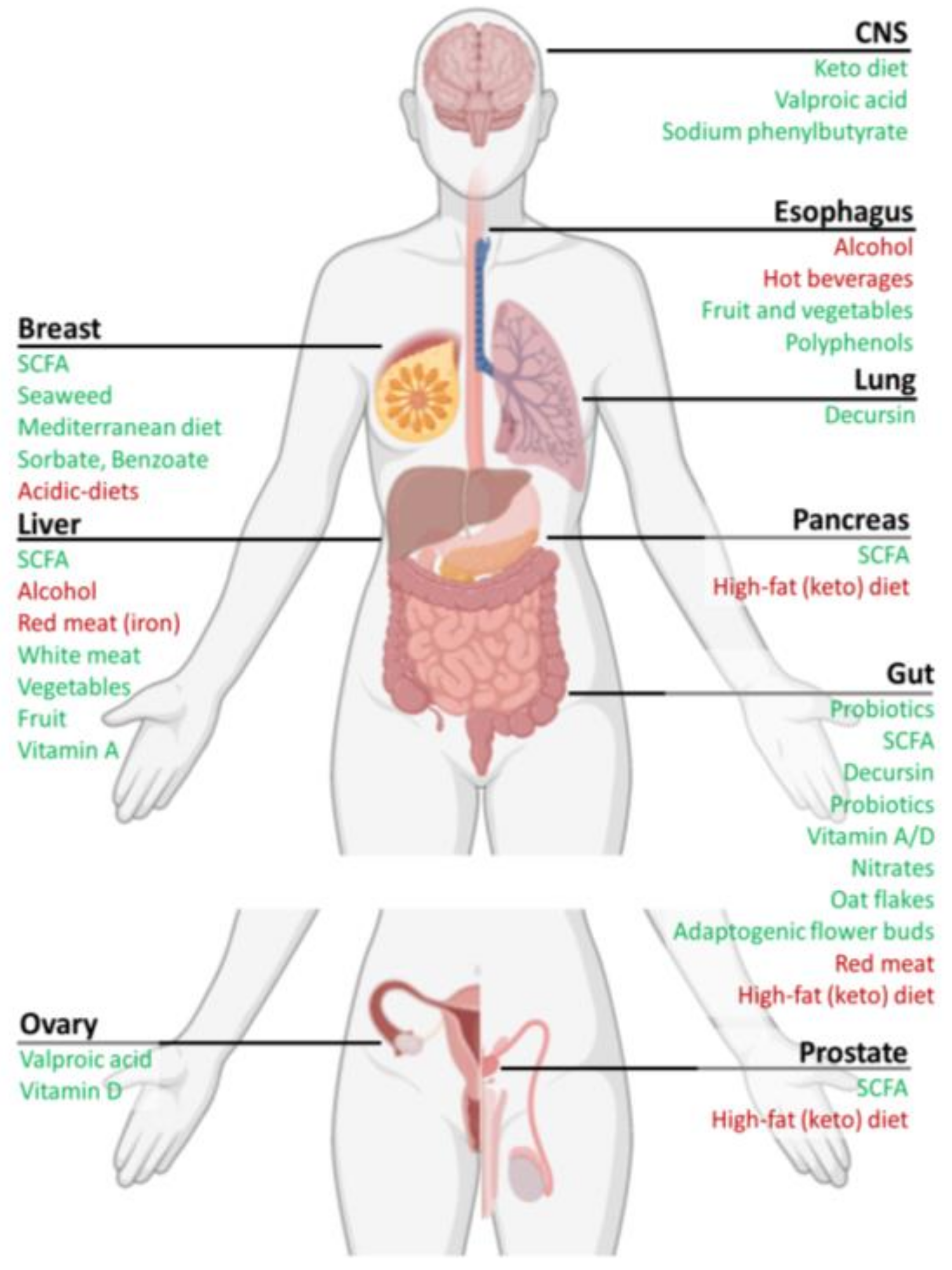 Cancers 13 00767 g001