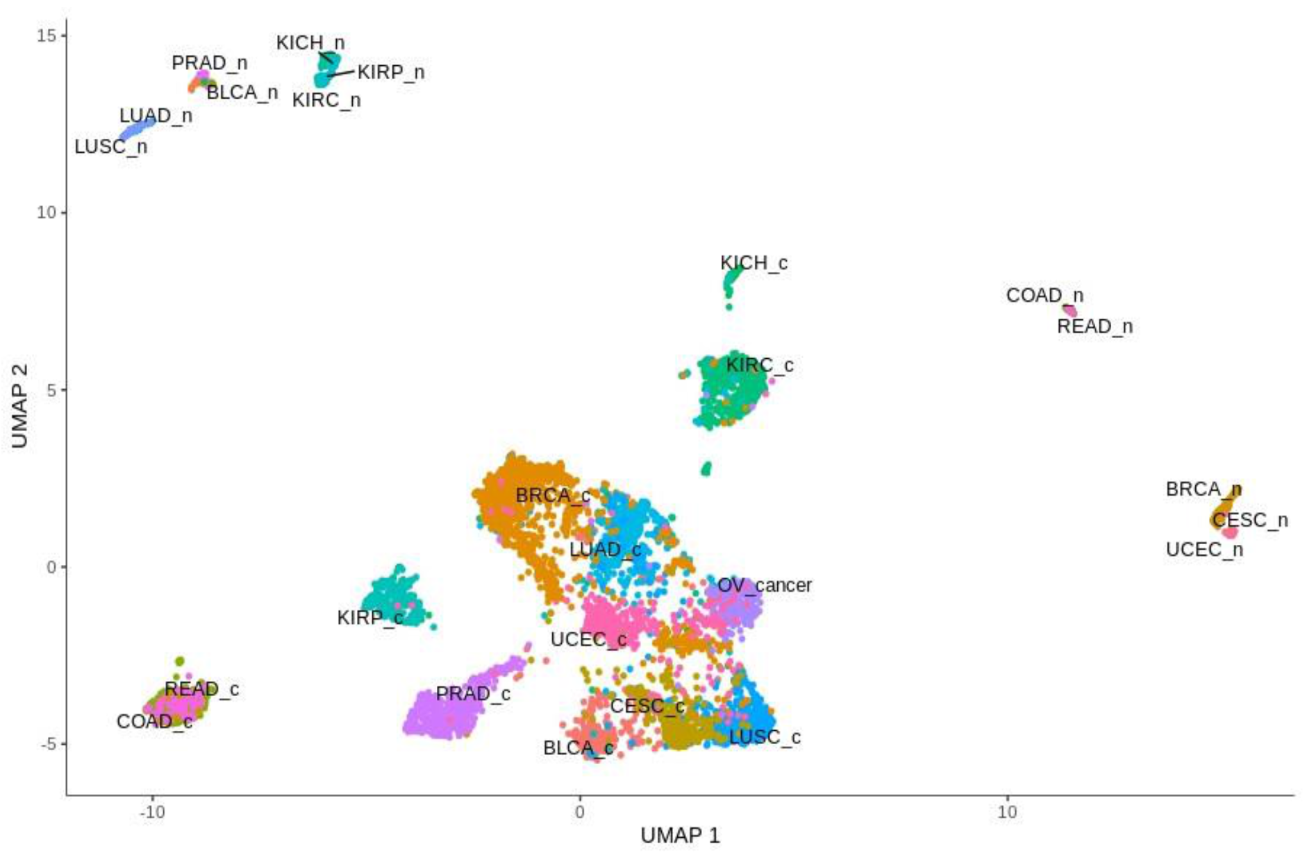 Cancers 13 00768 g001