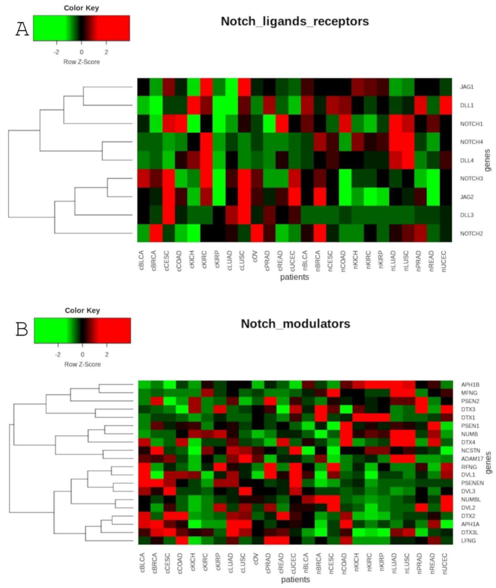 Cancers 13 00768 g002