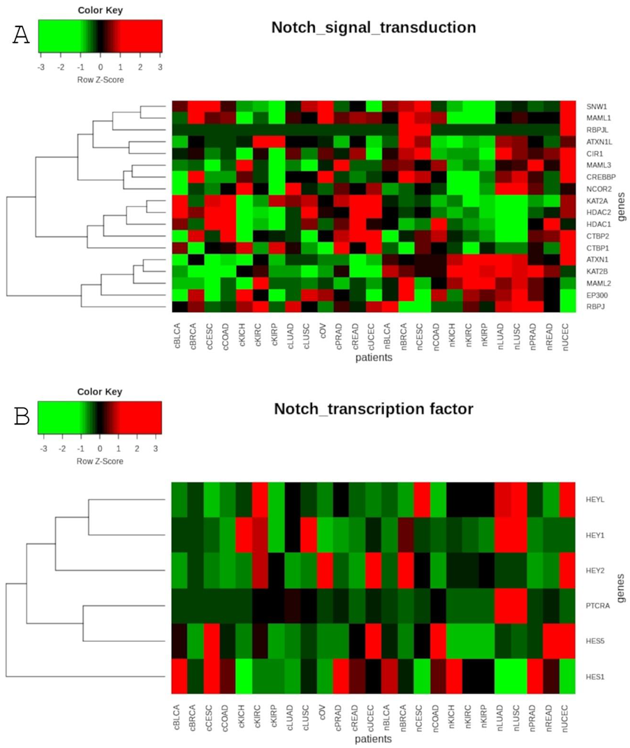 Cancers 13 00768 g003