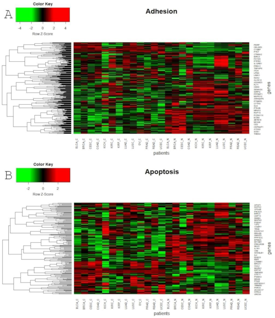 Cancers 13 00768 g005