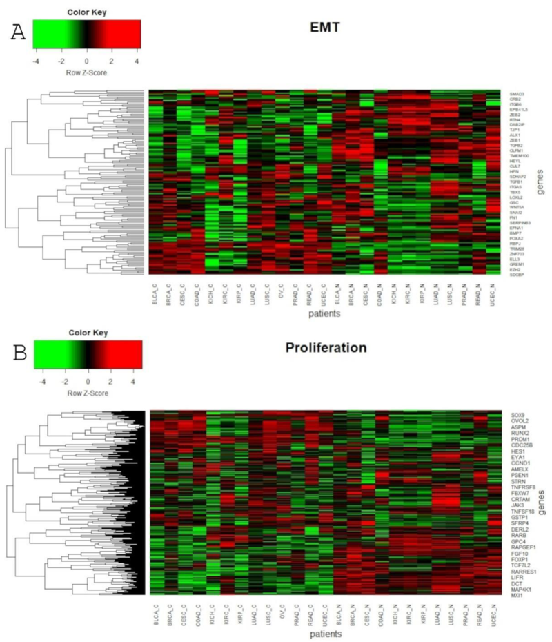 Cancers 13 00768 g006