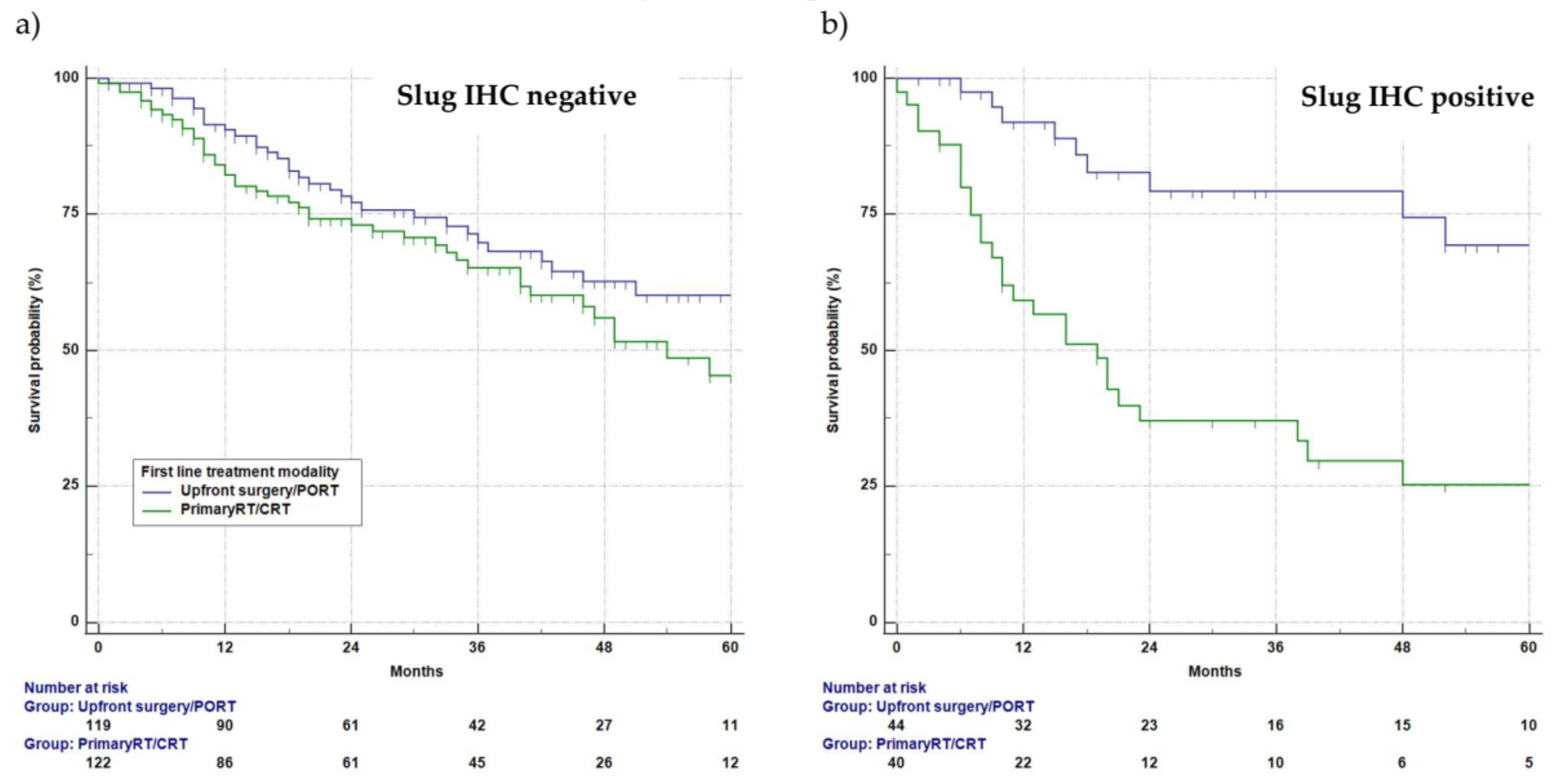 Cancers 13 00772 g004