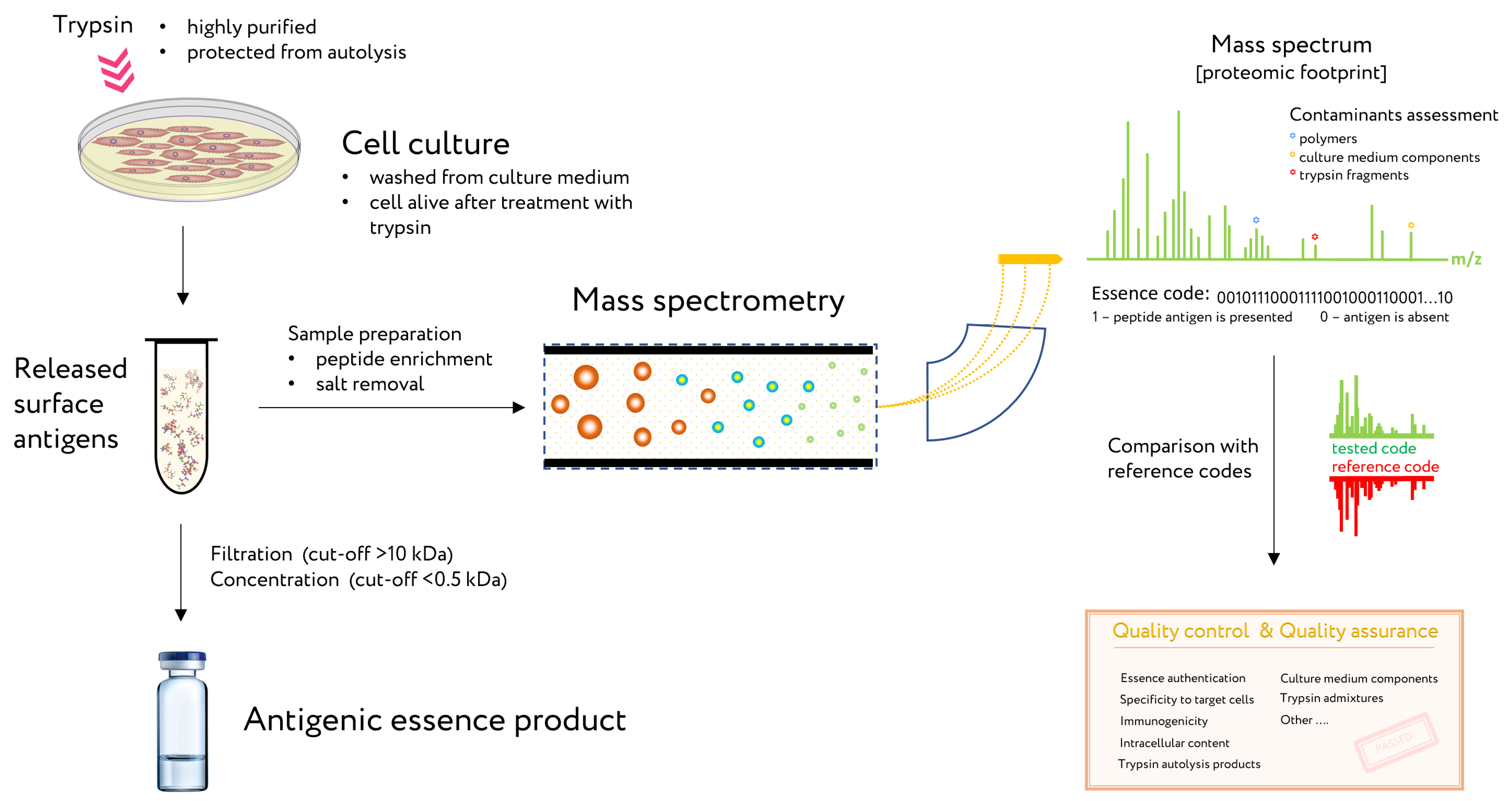 Cancers 13 00774 g004 Cancers 13 00774 g004