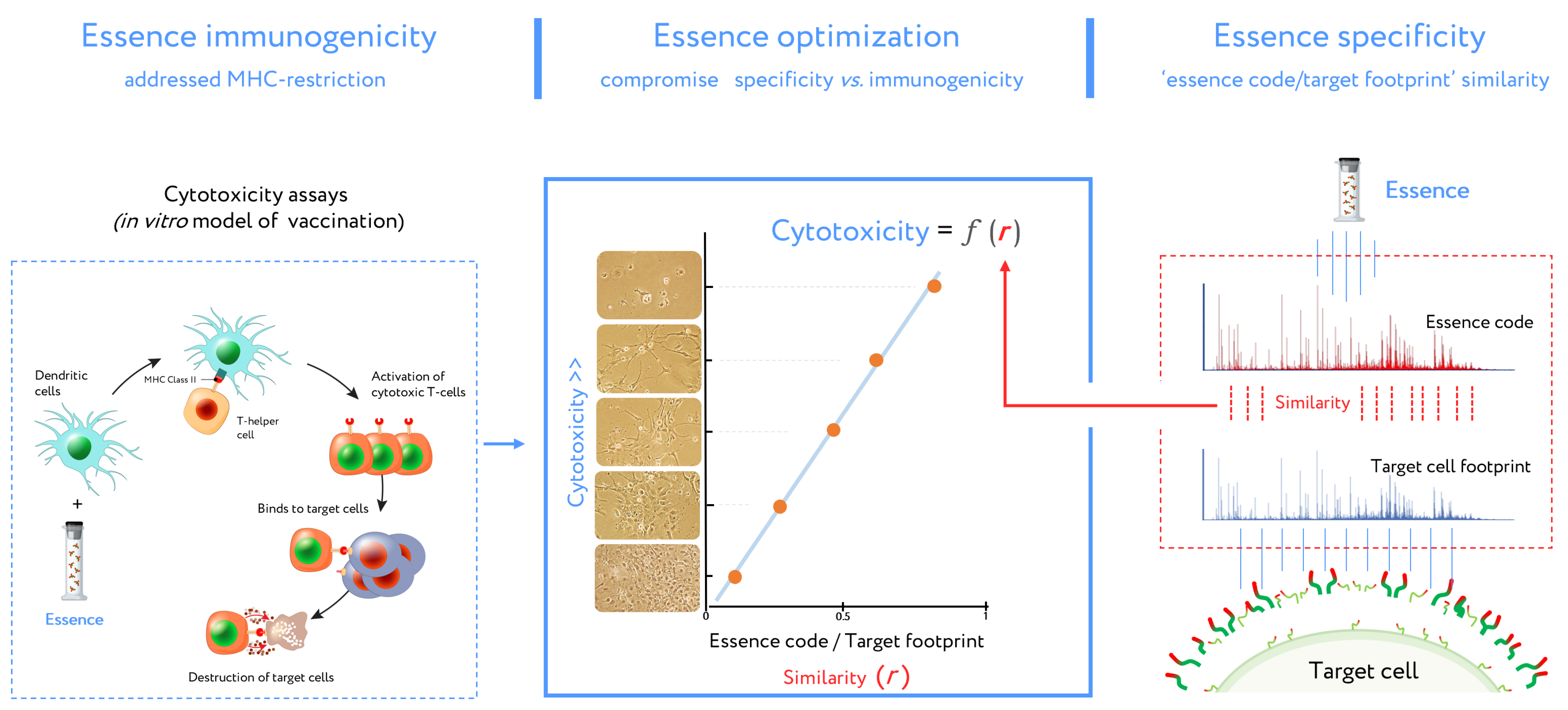 Cancers 13 00774 g005 Cancers 13 00774 g005