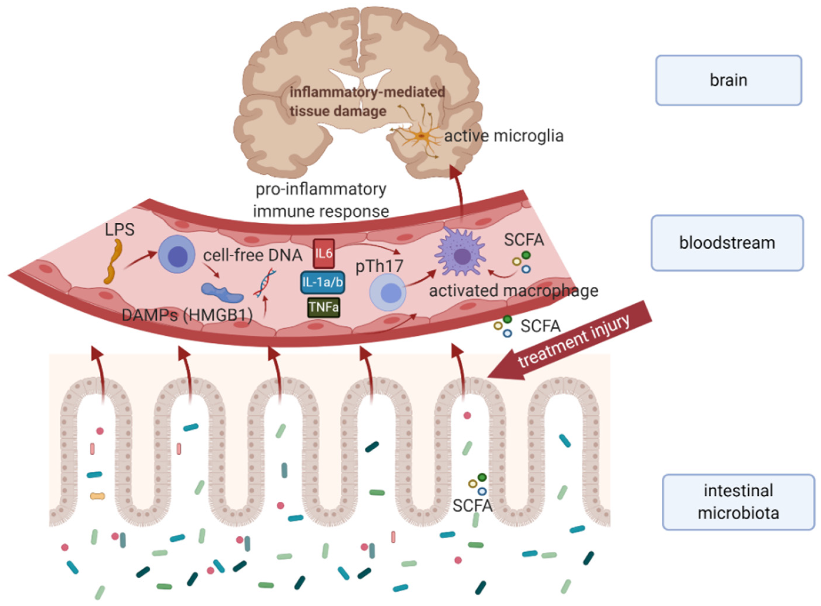 Cancers 13 00782 g001