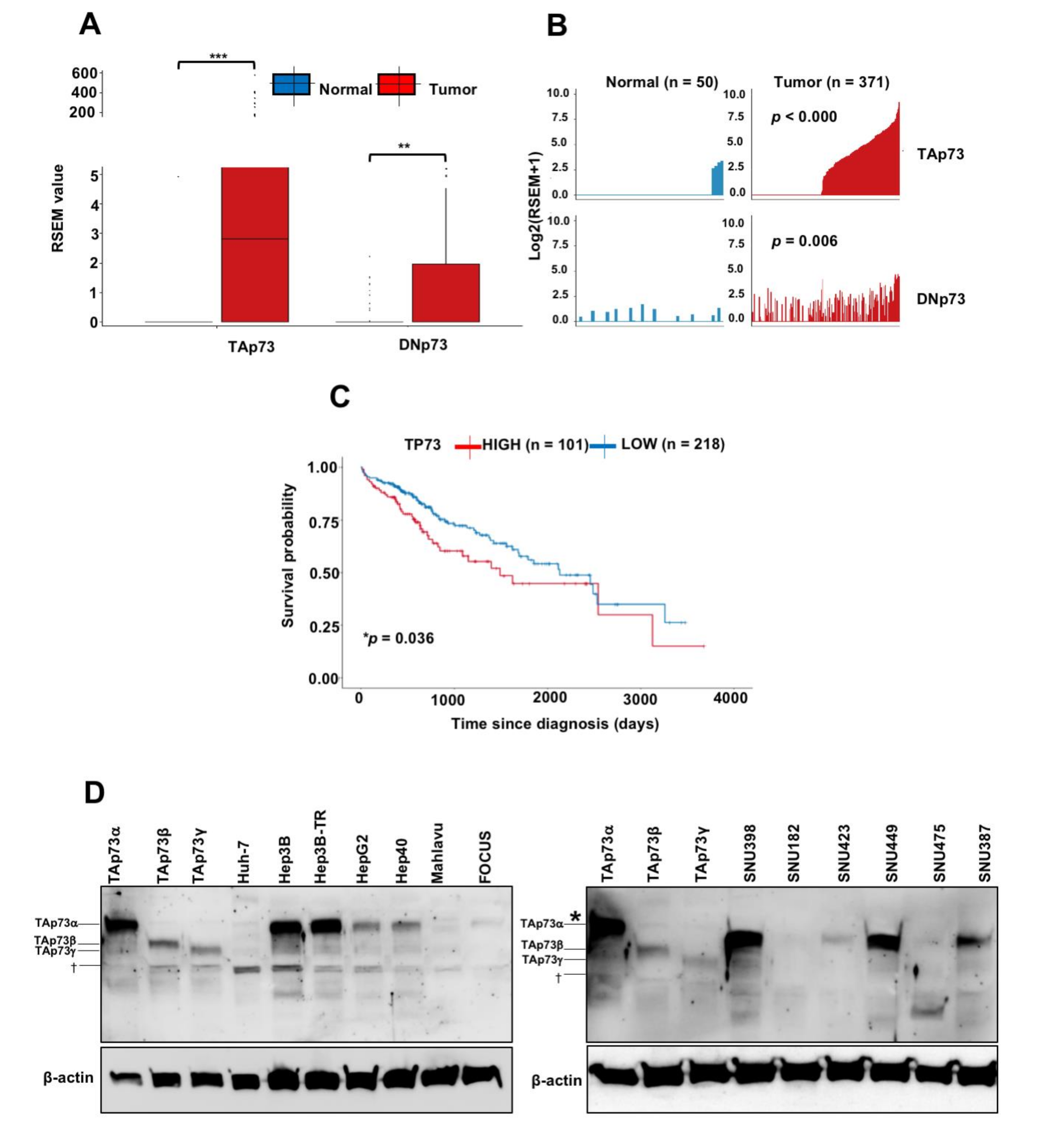 Cancers 13 00783 g001