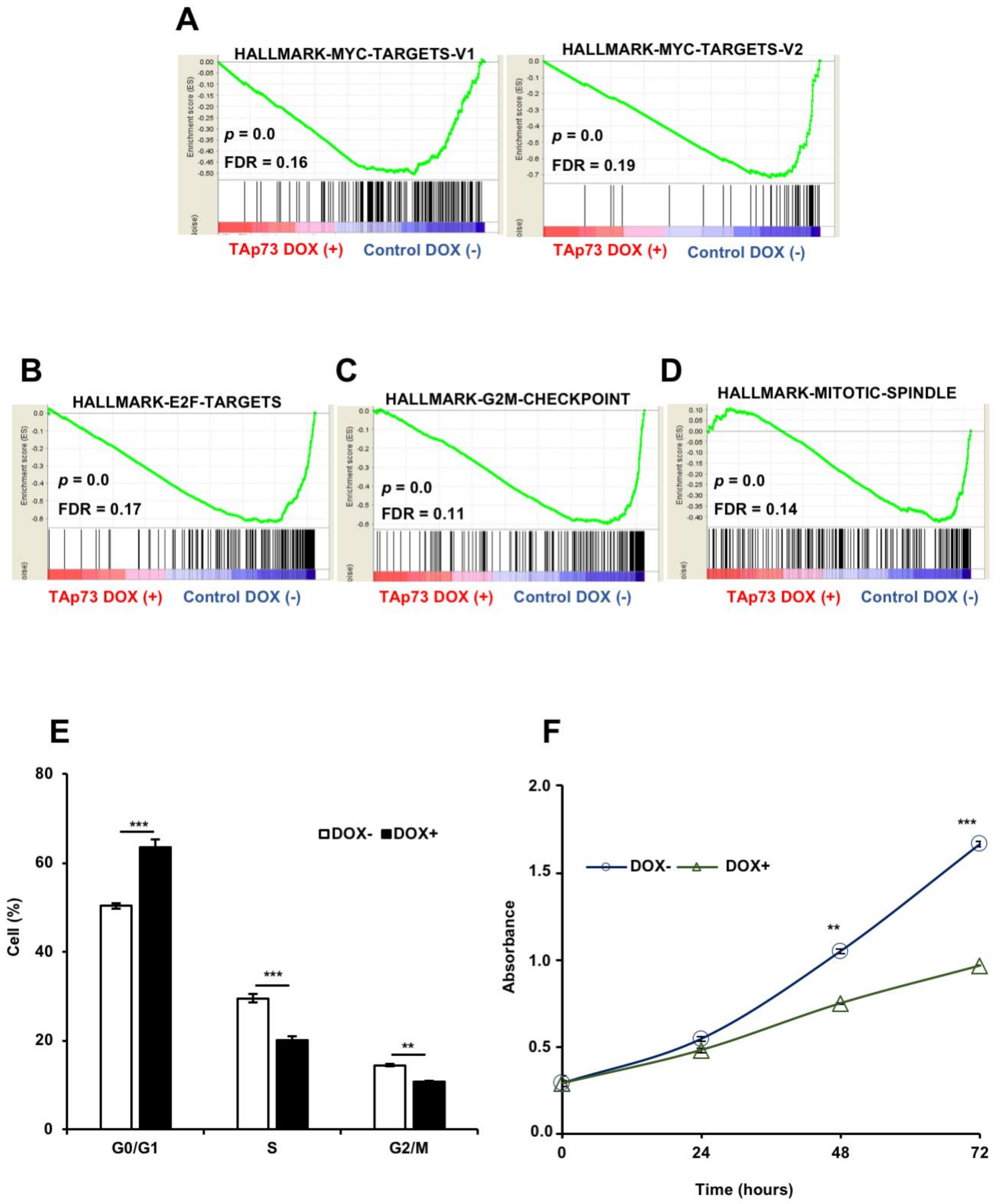 Cancers 13 00783 g003