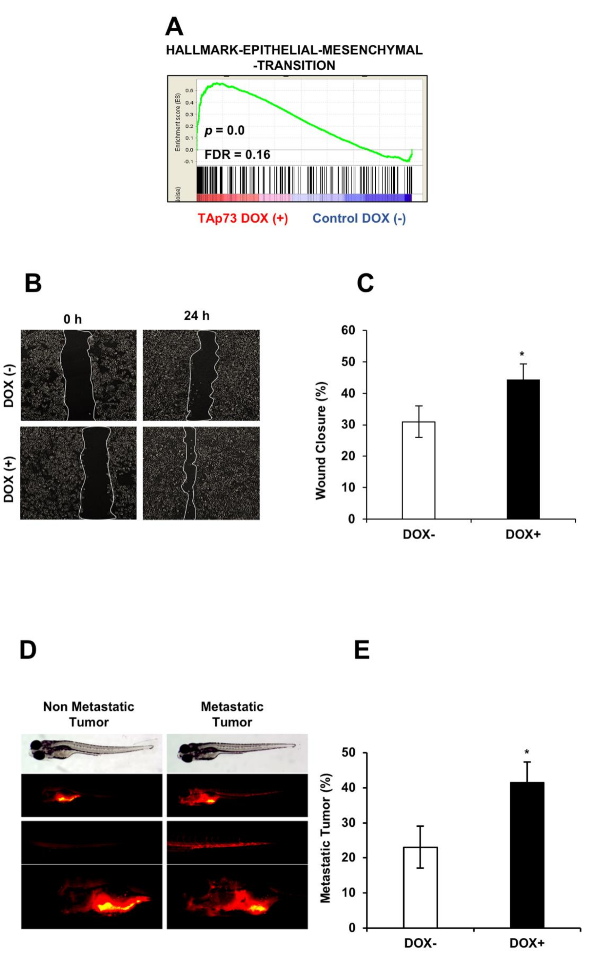 Cancers 13 00783 g007