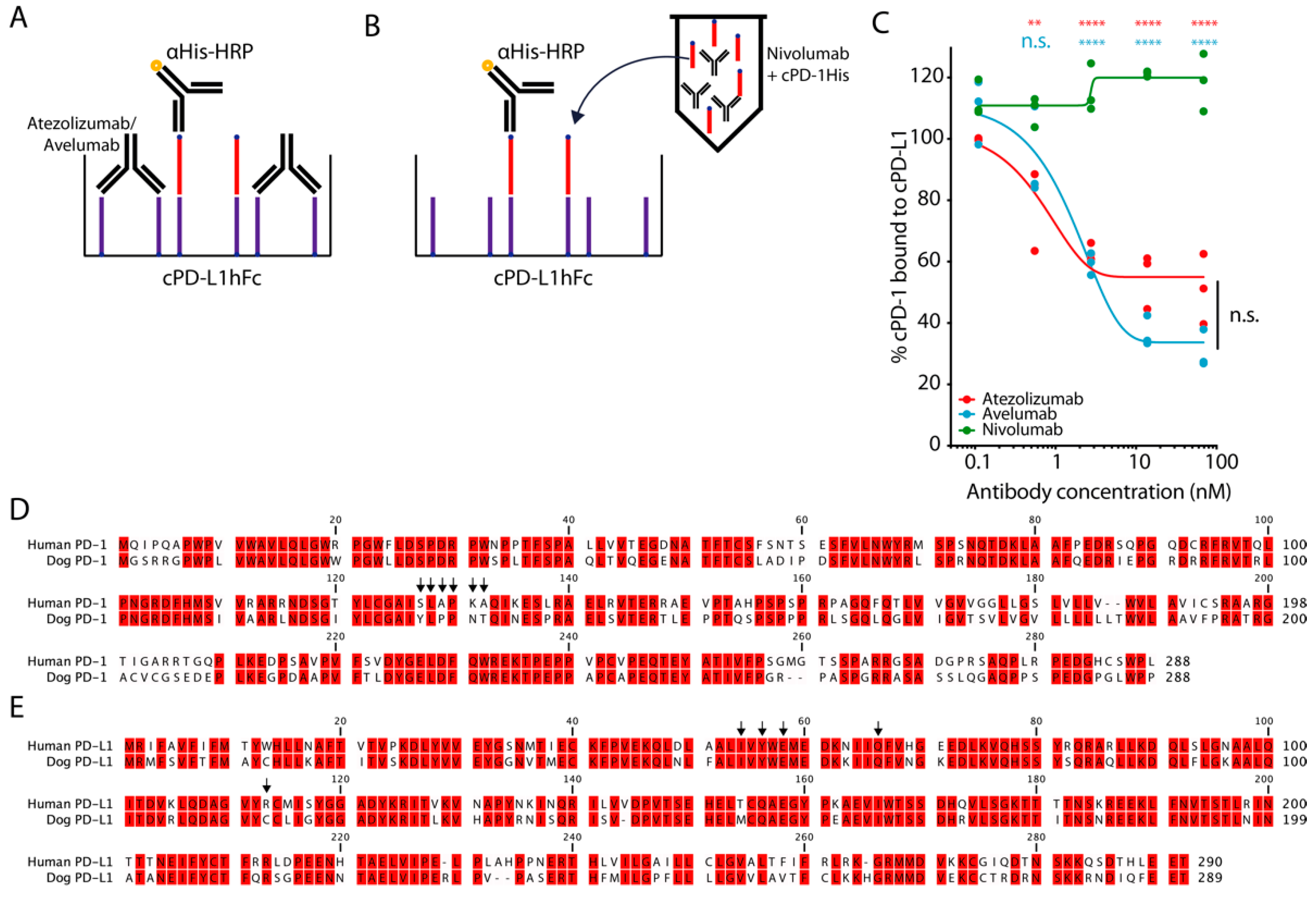 Cancers 13 00785 g002