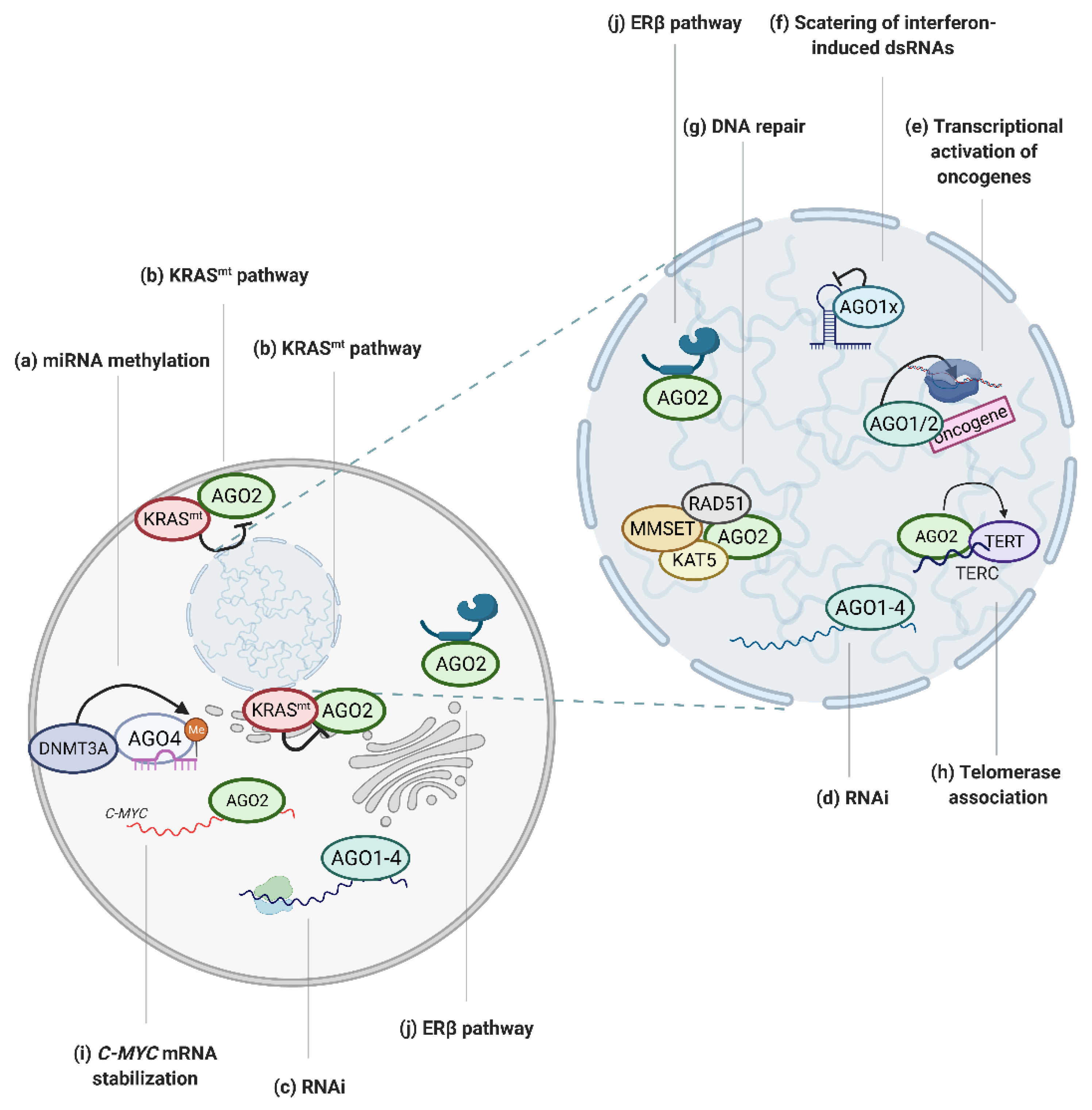 Cancers 13 00788 g002 Cancers 13 00788 g002