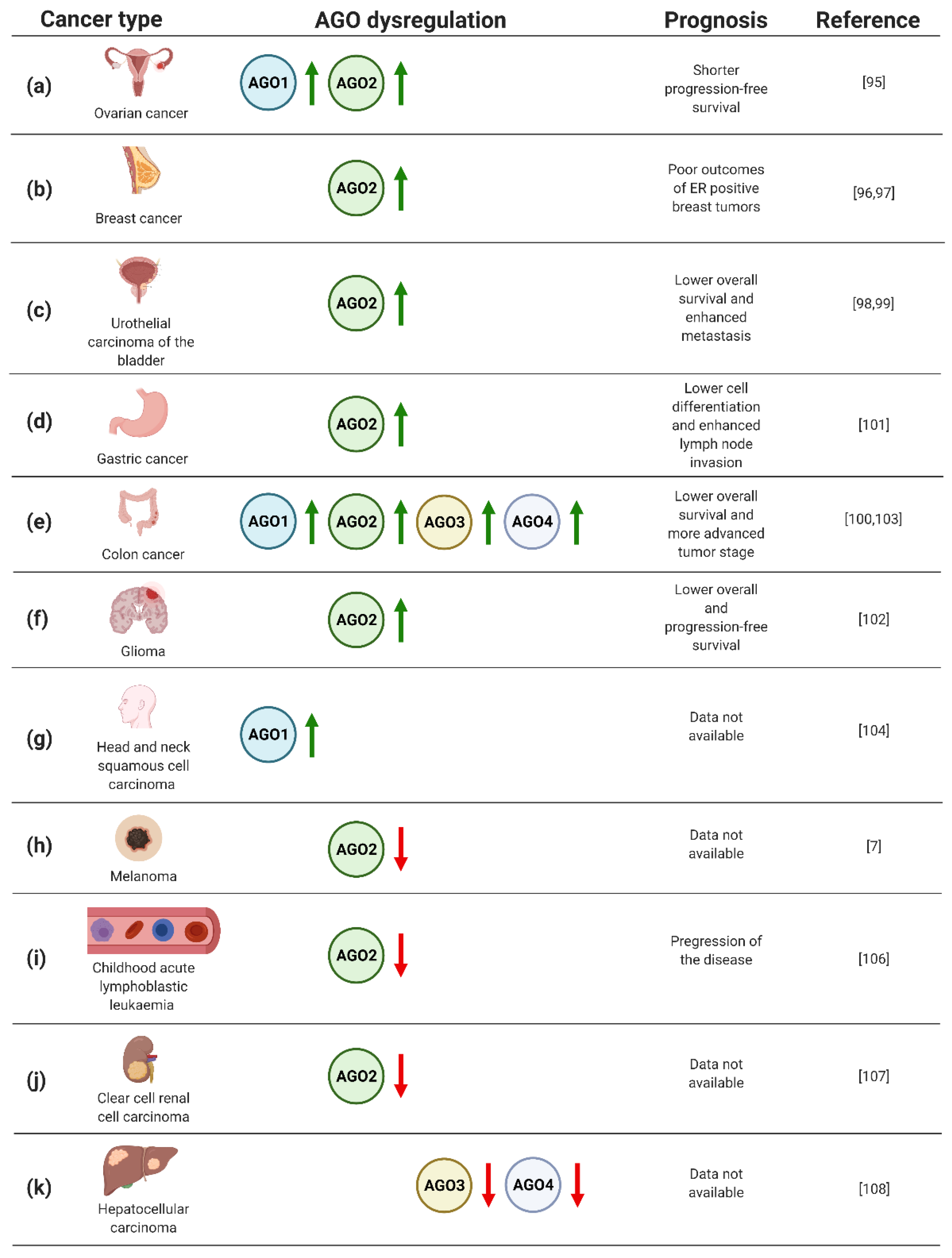Cancers 13 00788 g003 Cancers 13 00788 g003
