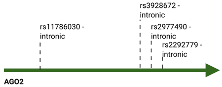 Cancers 13 00788 i002