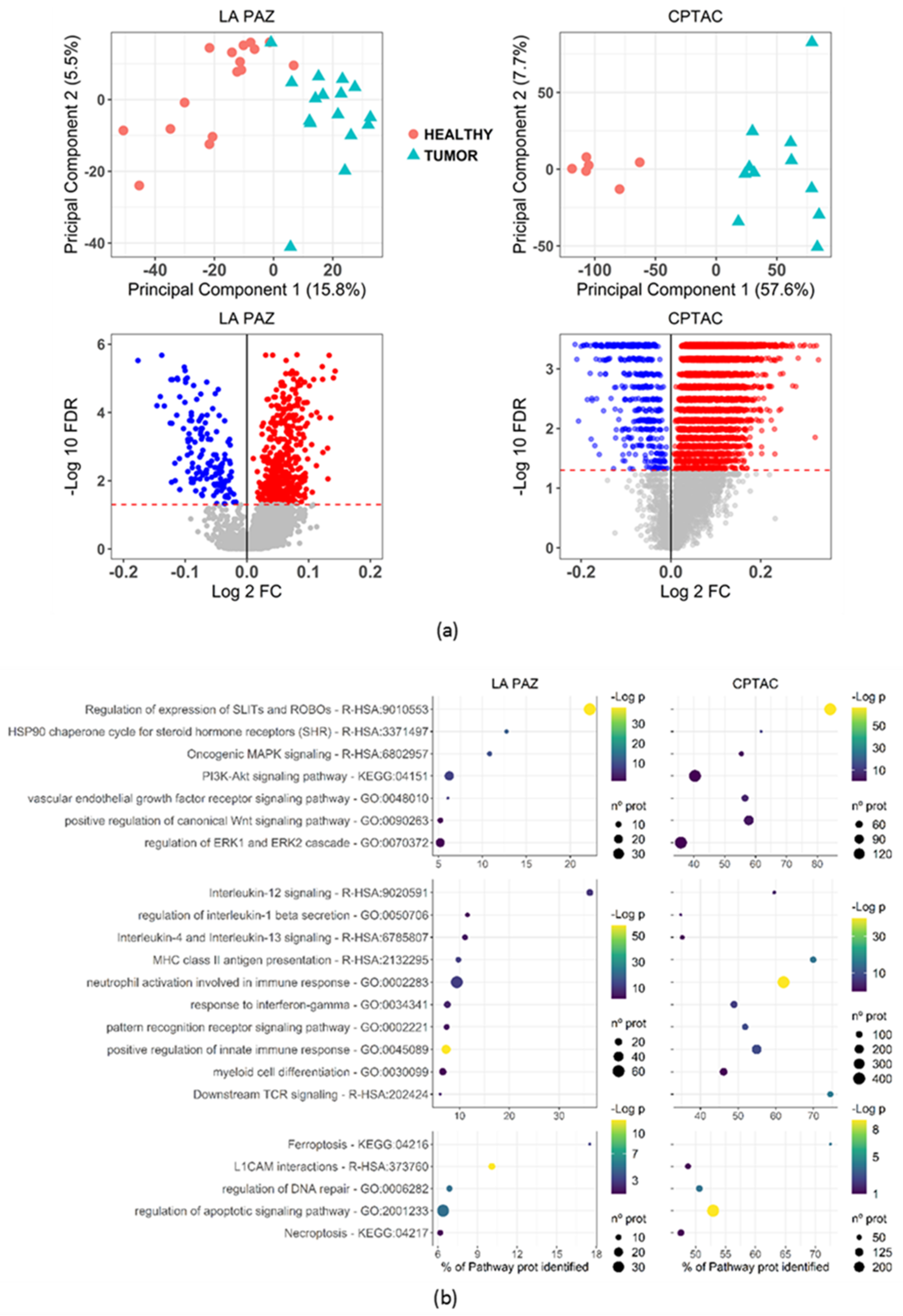 Cancers 13 00794 g002