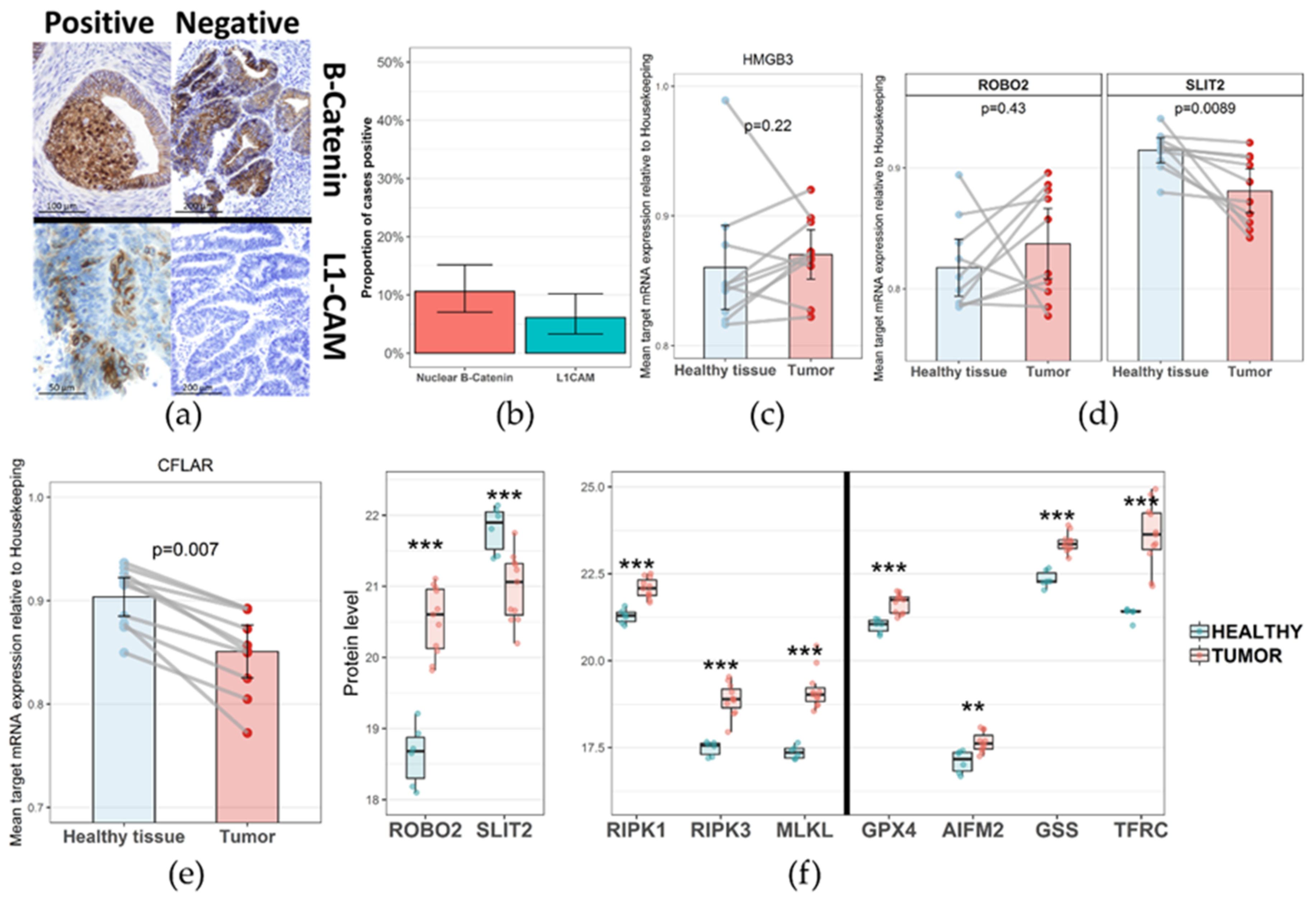 Cancers 13 00794 g003