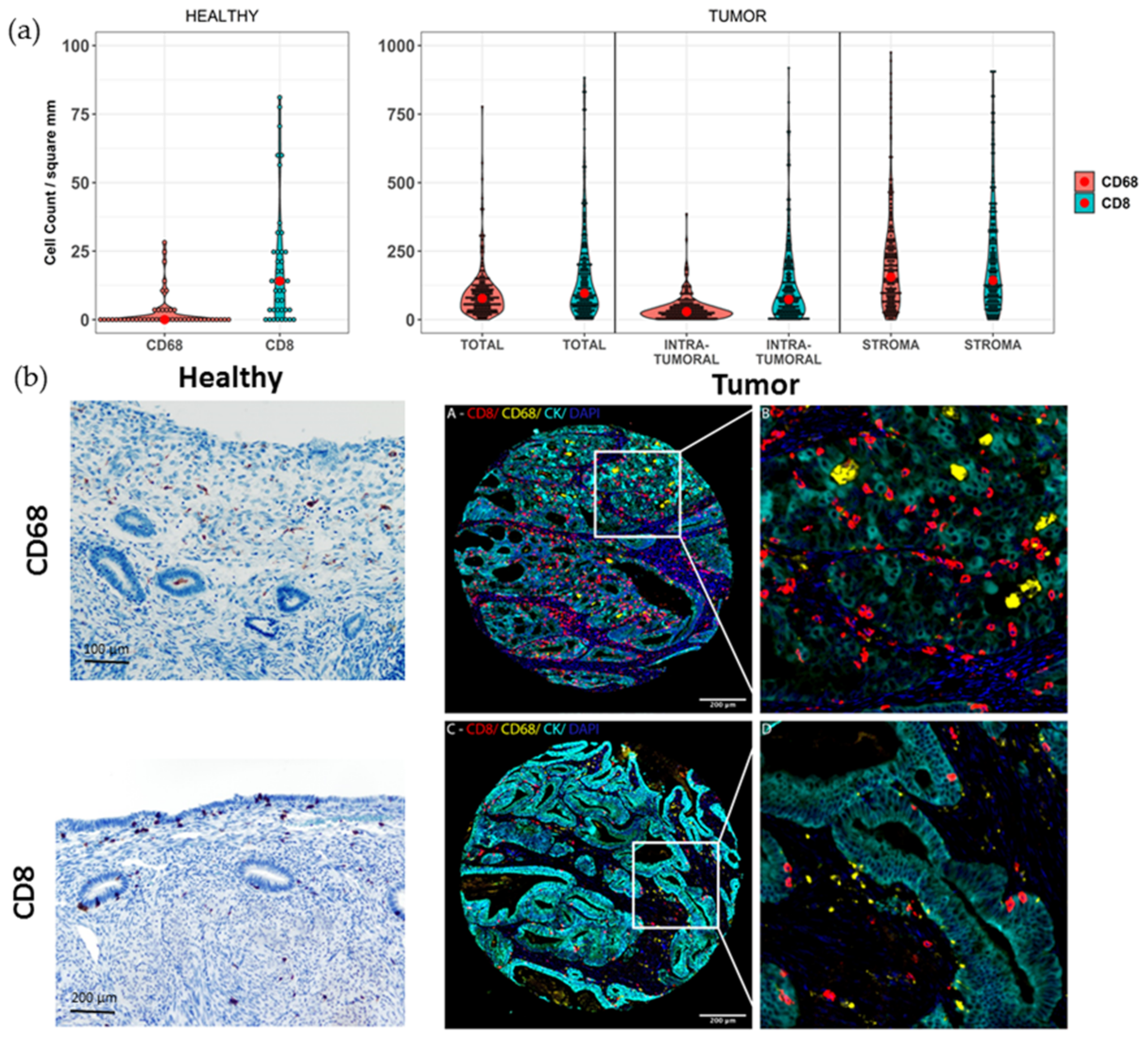 Cancers 13 00794 g004