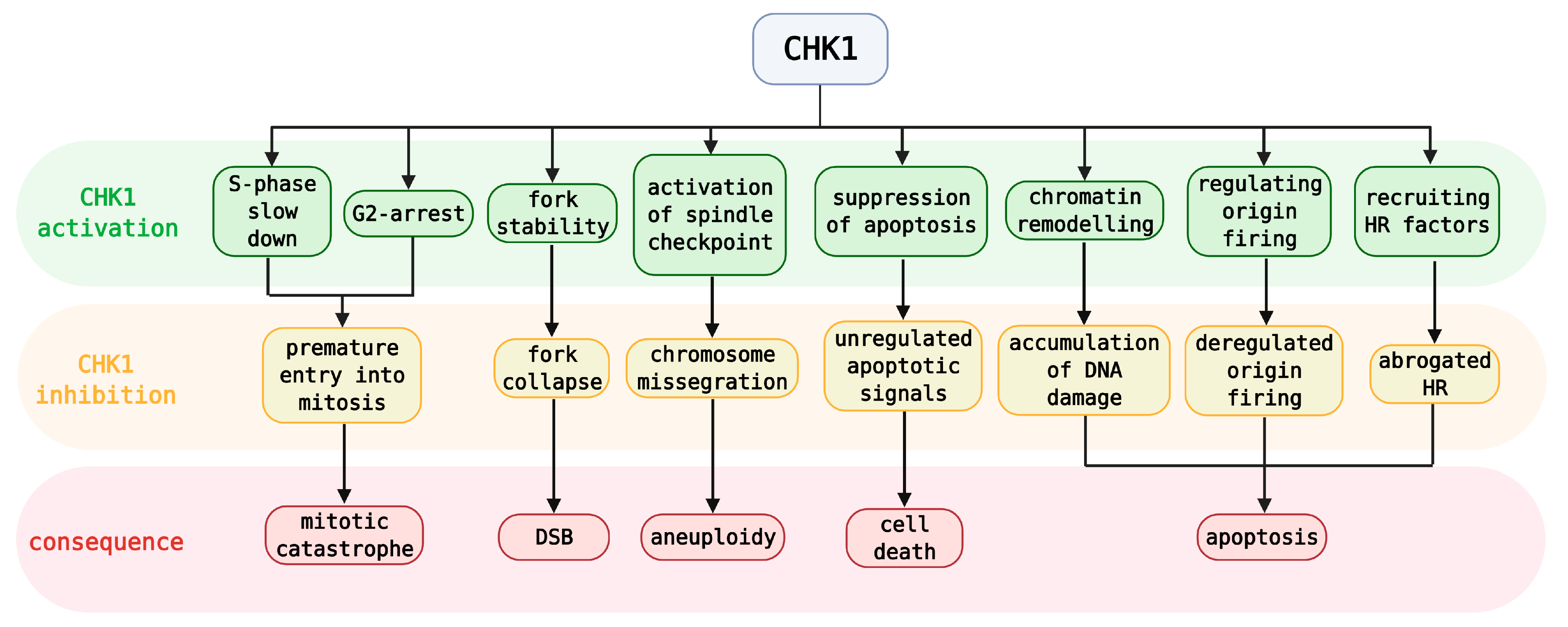 Cancers 13 00795 g003