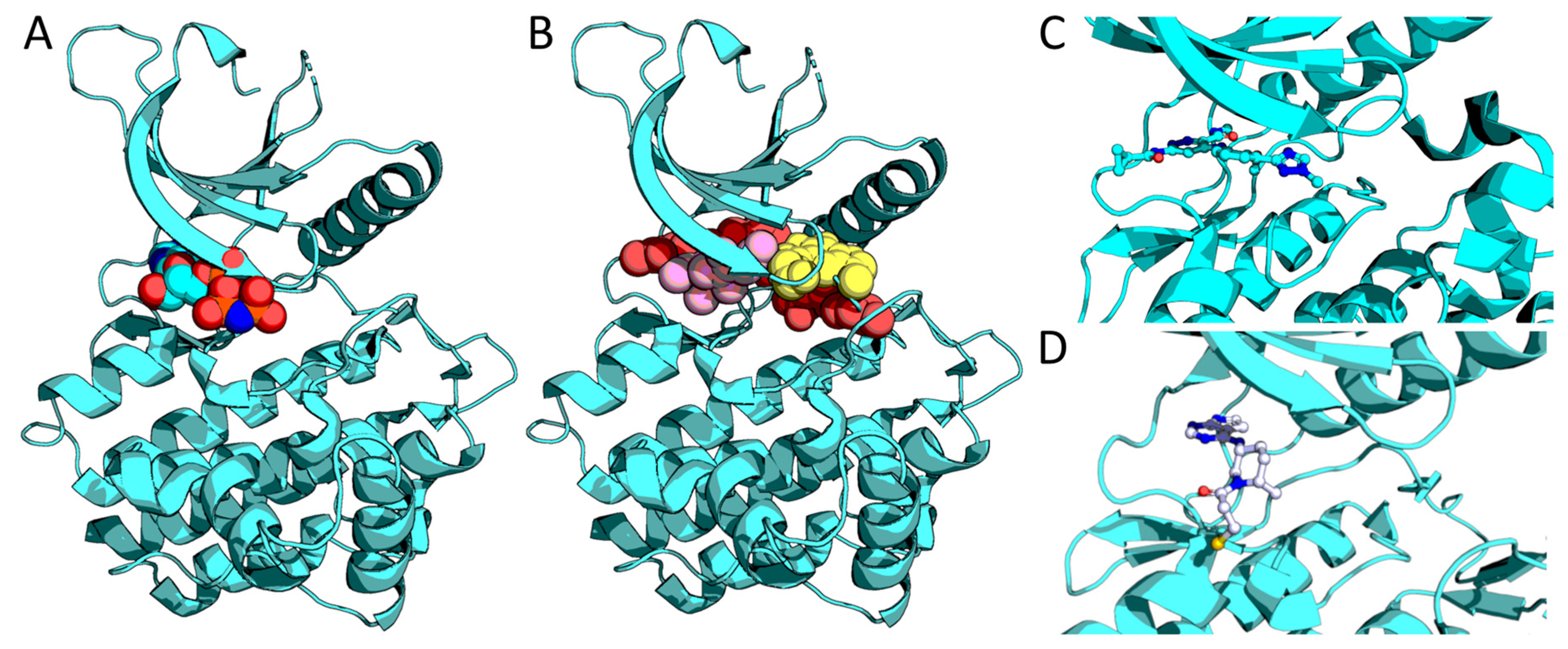 Cancers 13 00800 g003