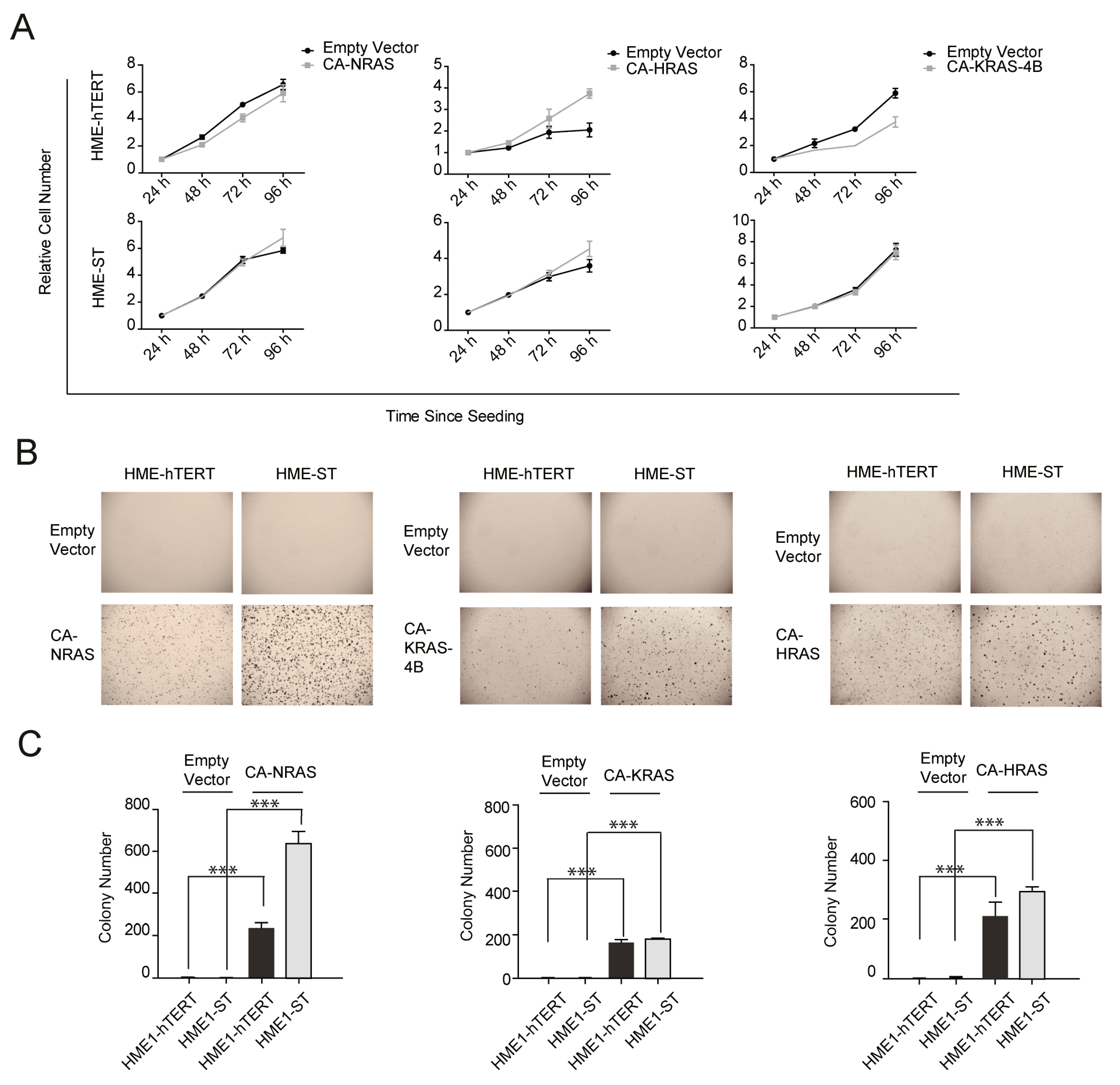 Cancers 13 00807 g001