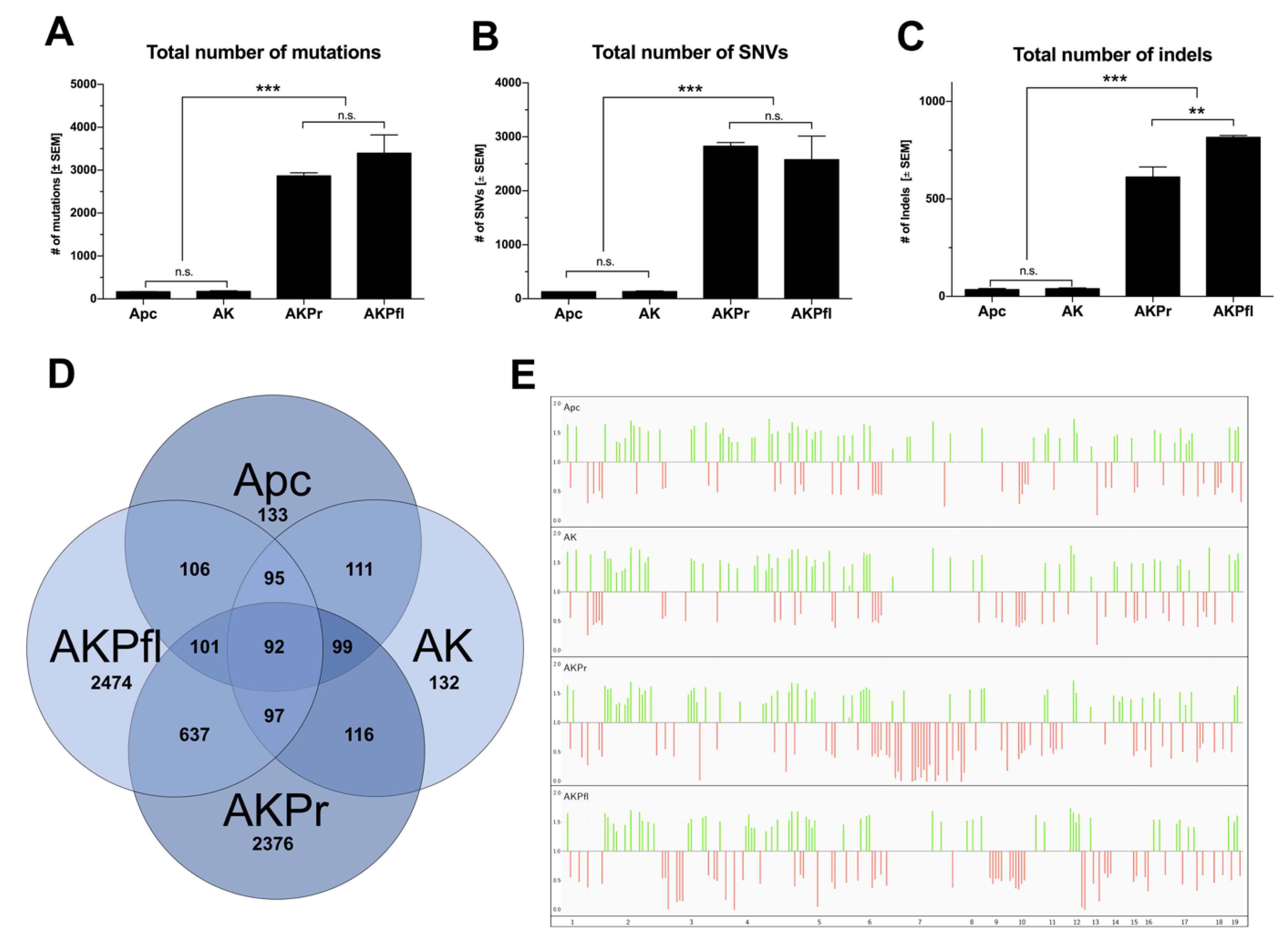 Cancers 13 00808 g005