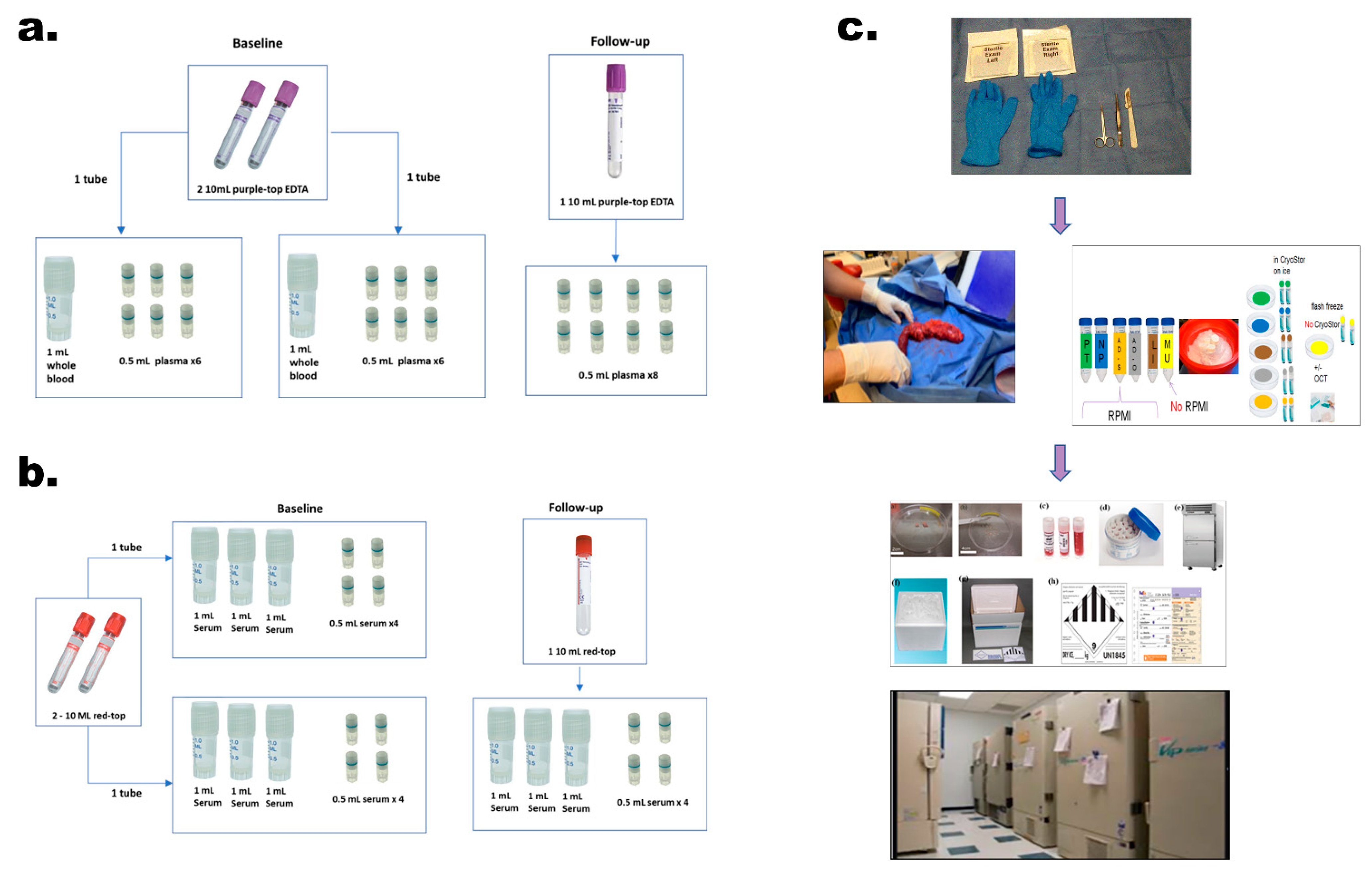 Cancers 13 00809 g002