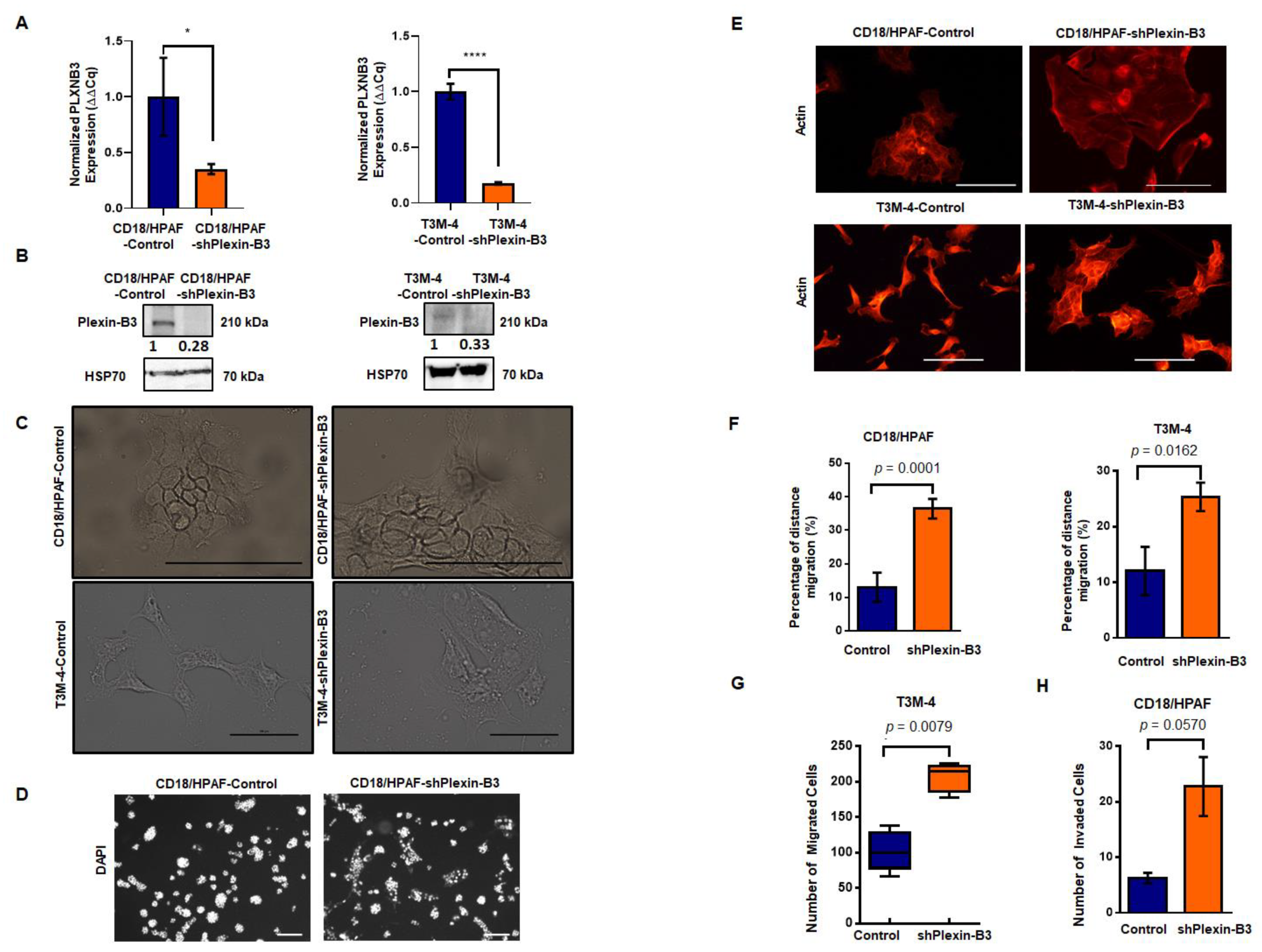 Cancers 13 00818 g003