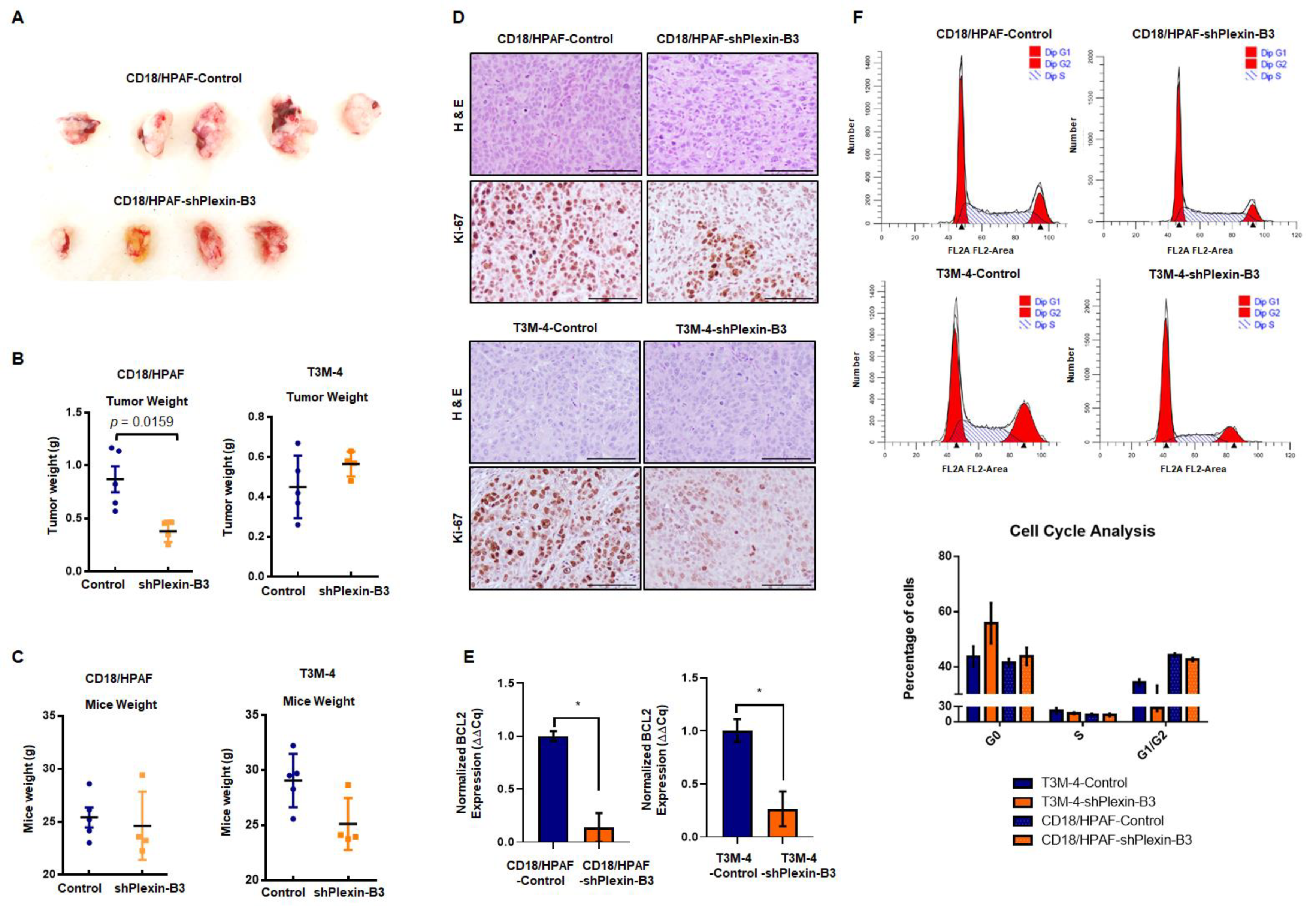 Cancers 13 00818 g004