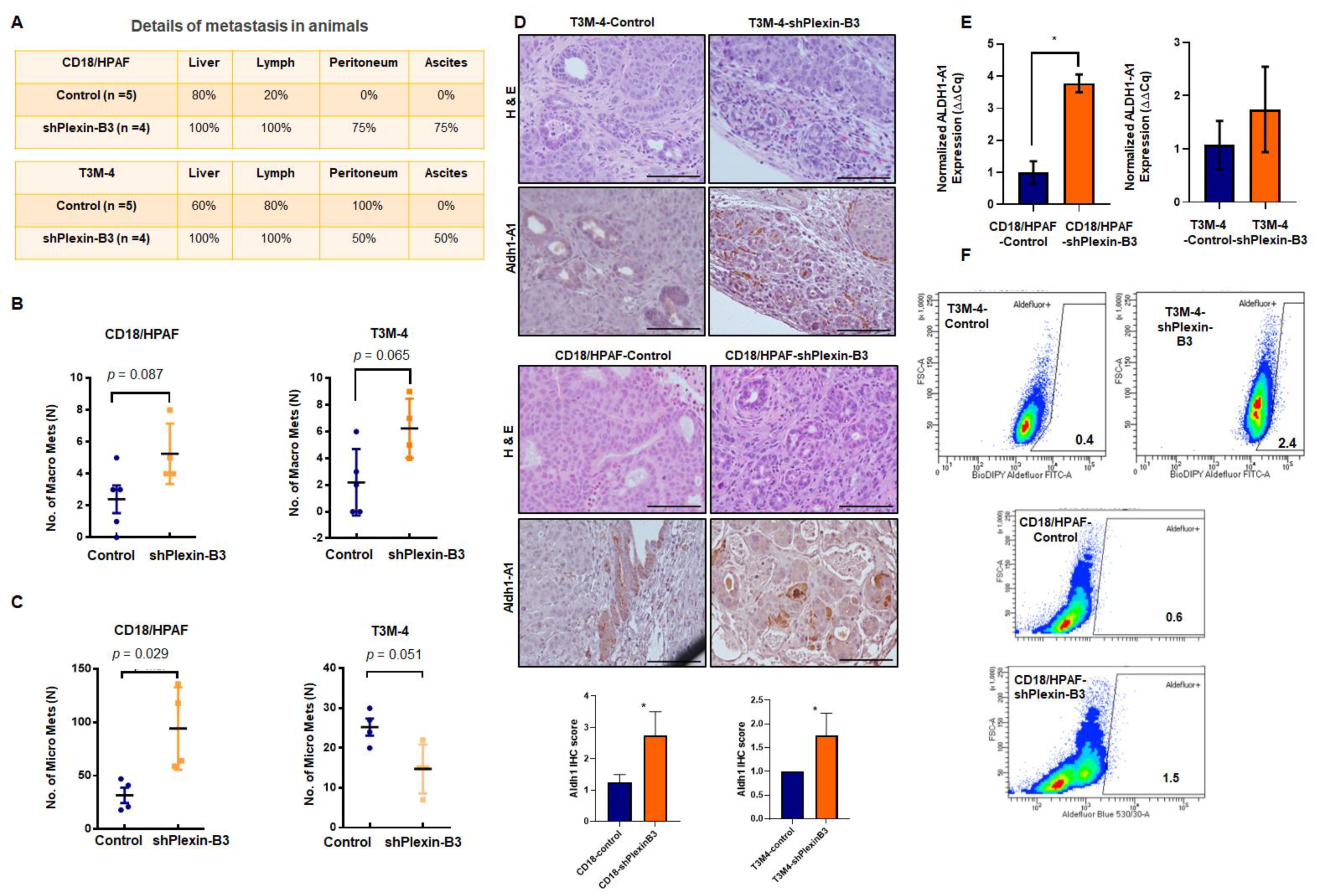 Cancers 13 00818 g005