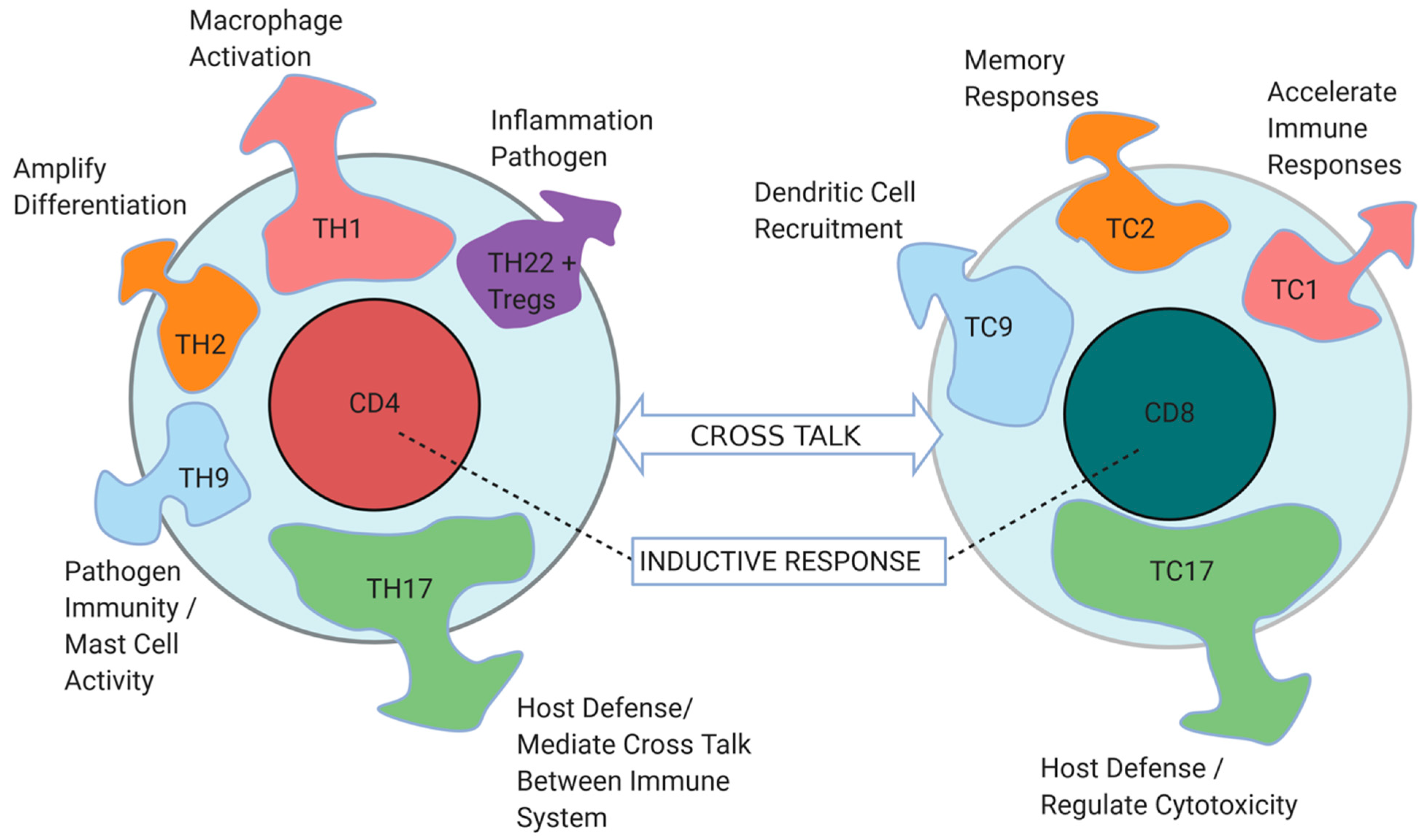 Cancers 13 00821 g002