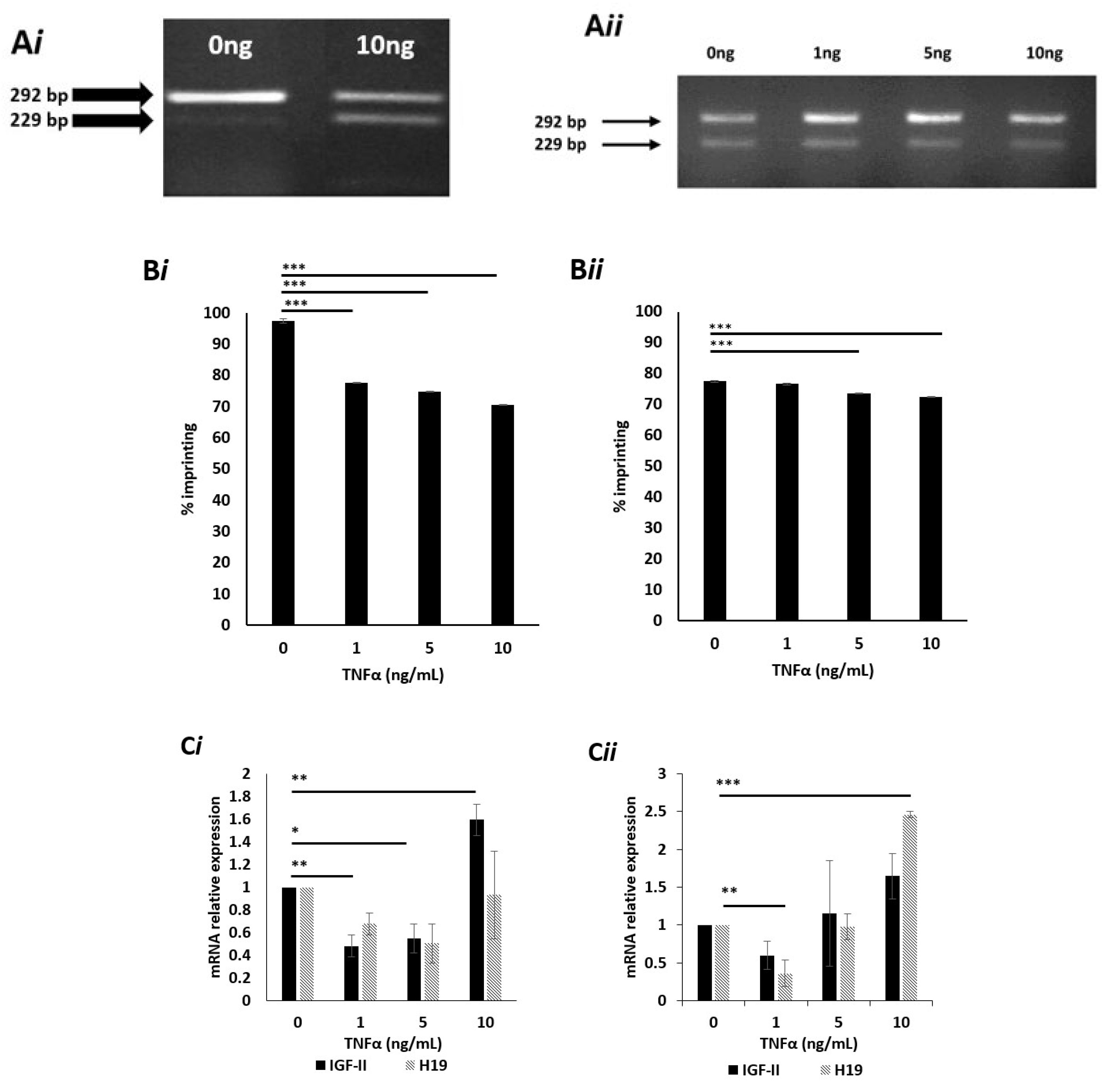 Cancers 13 00825 g002a
