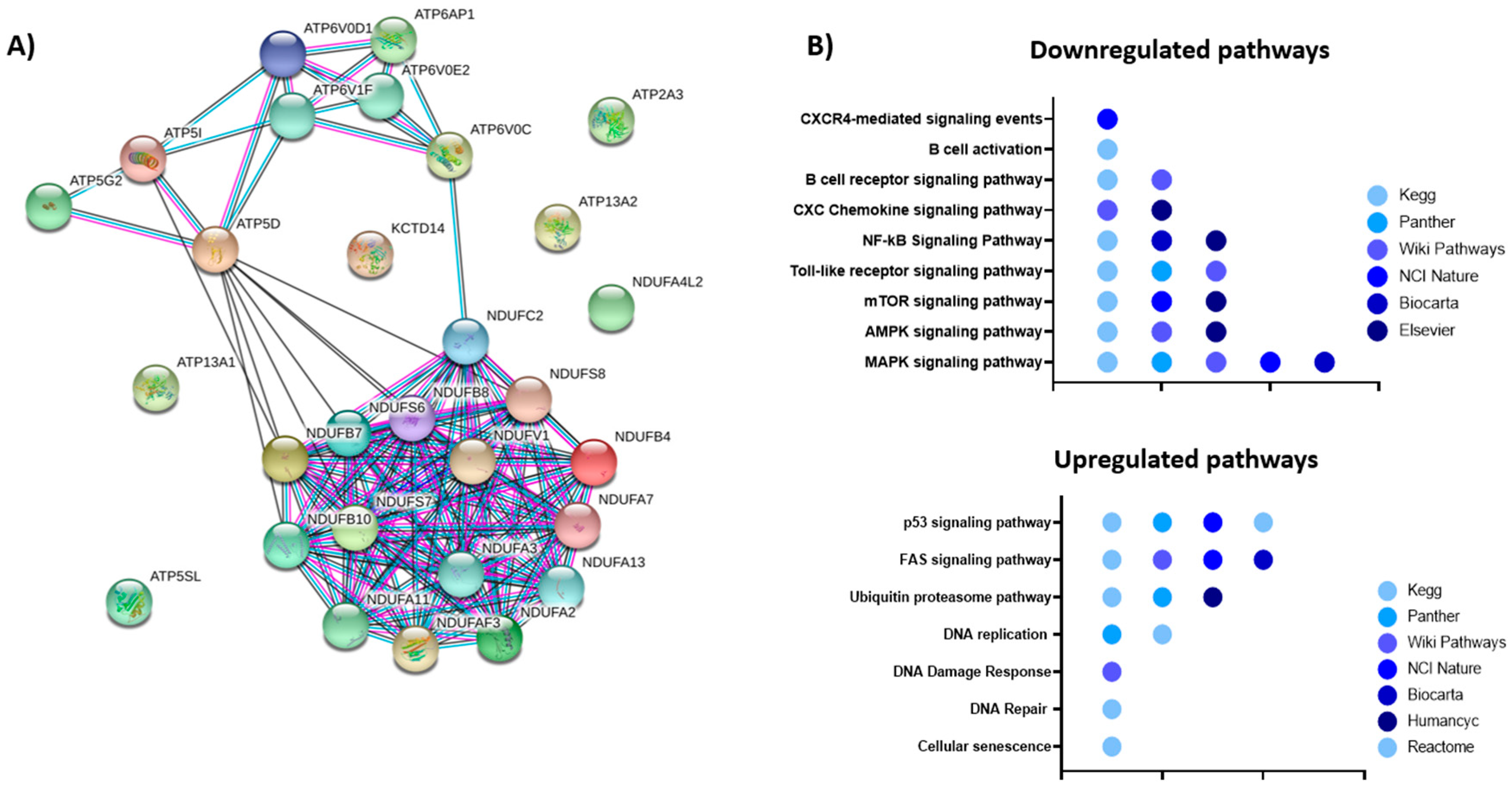 Cancers 13 00826 g007