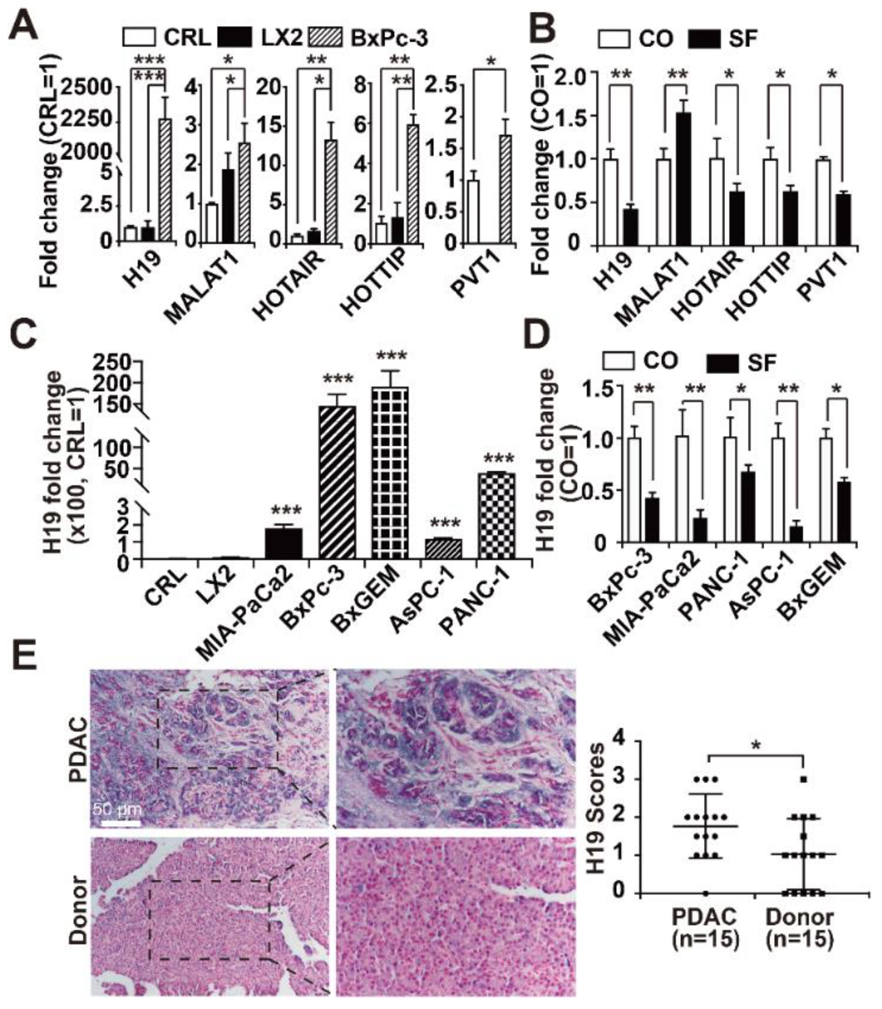 Cancers 13 00827 g001