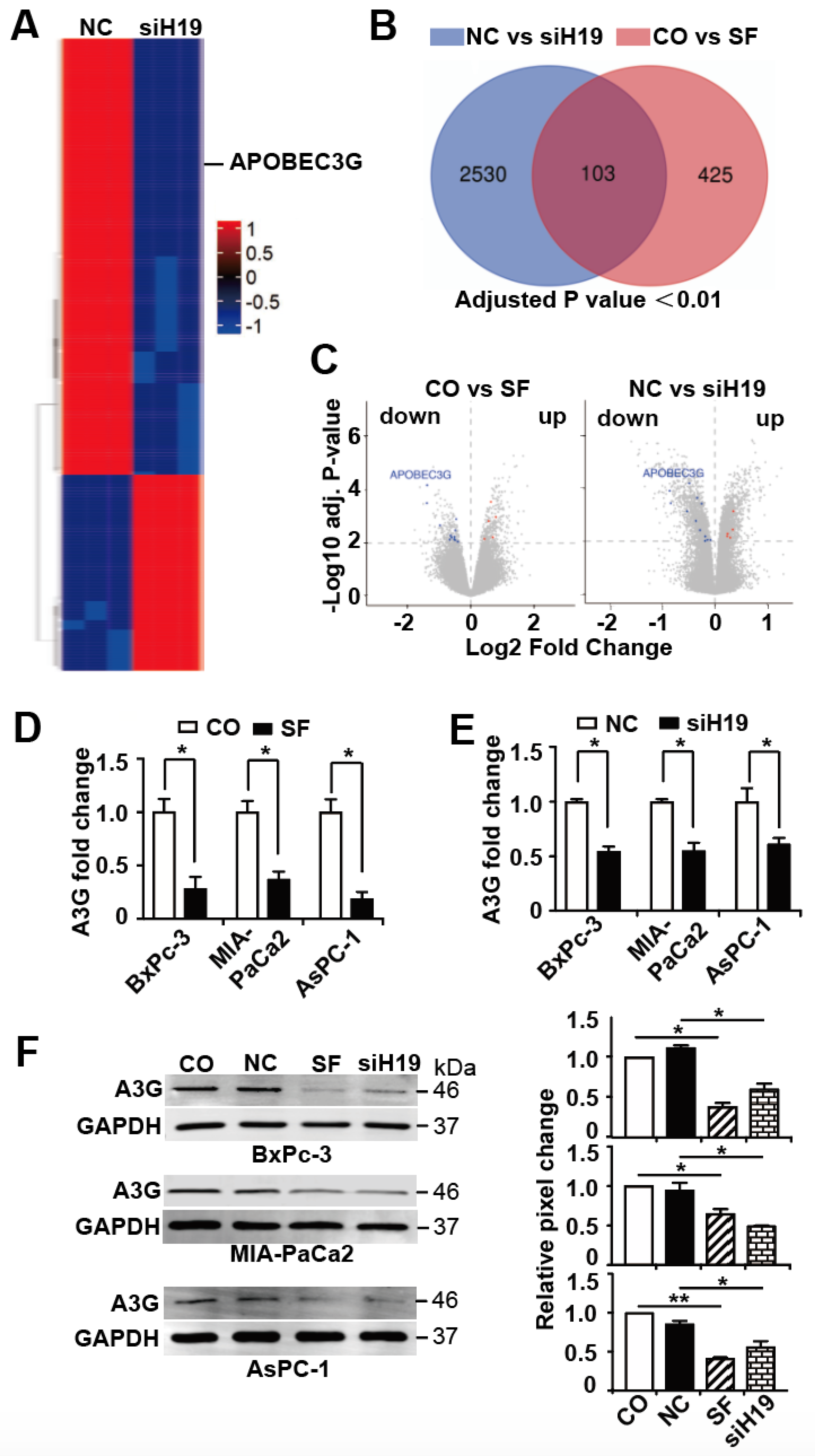 Cancers 13 00827 g003