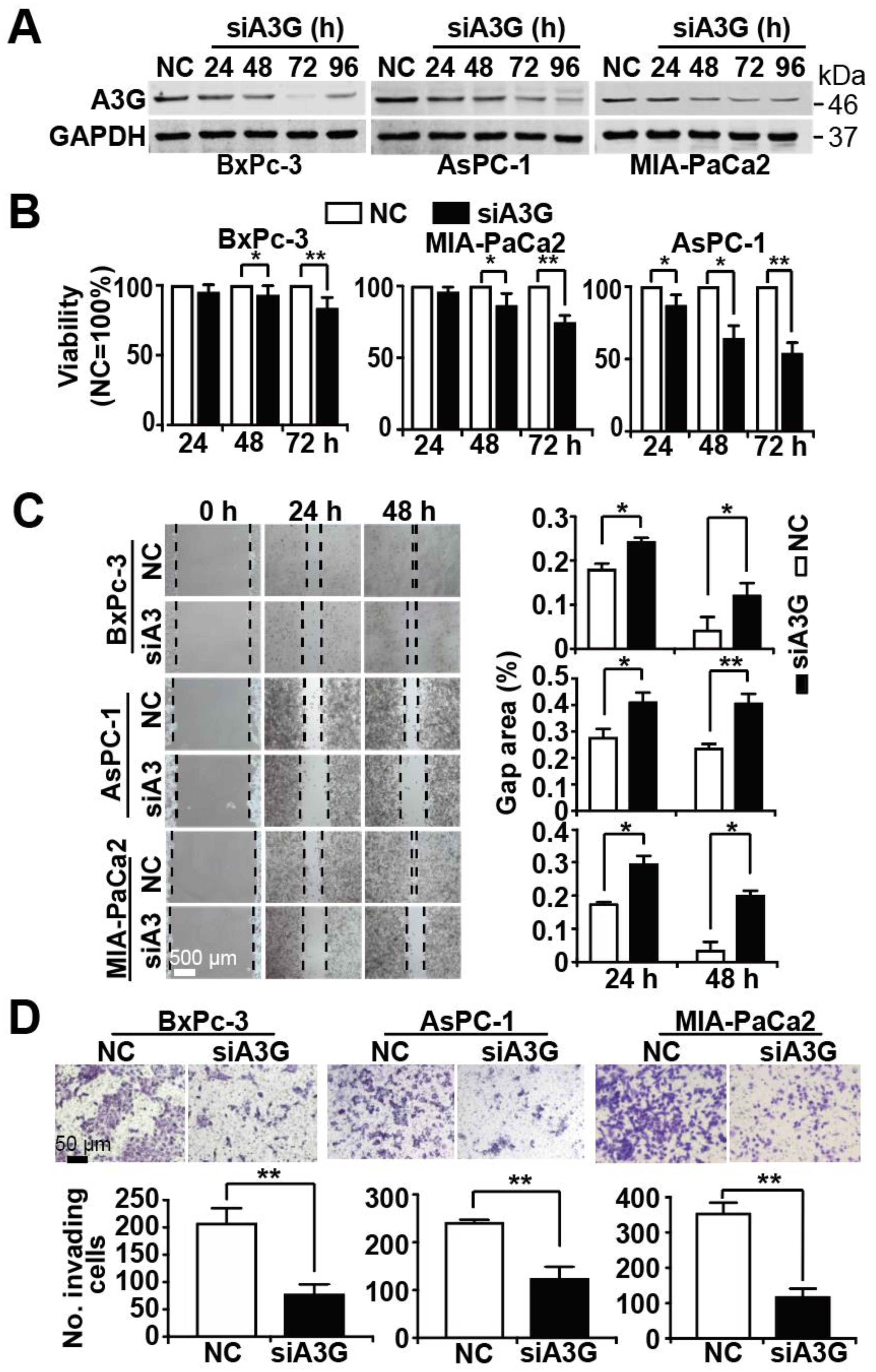 Cancers 13 00827 g005