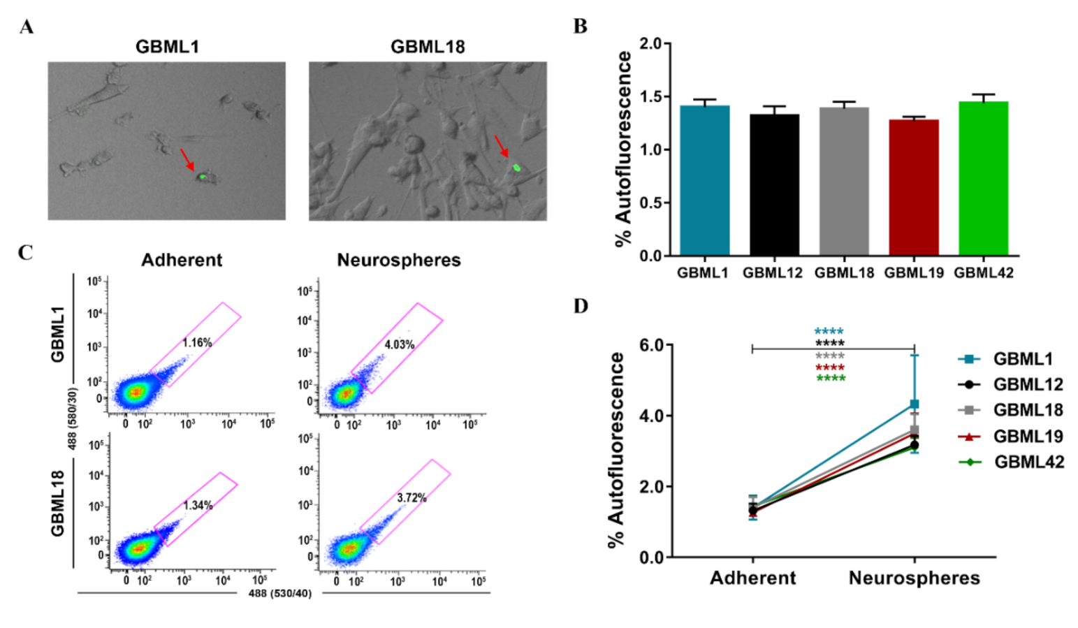 Cancers 13 00828 g001