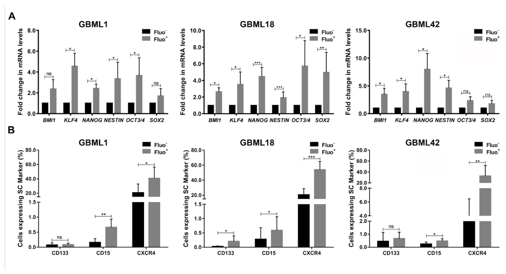Cancers 13 00828 g002
