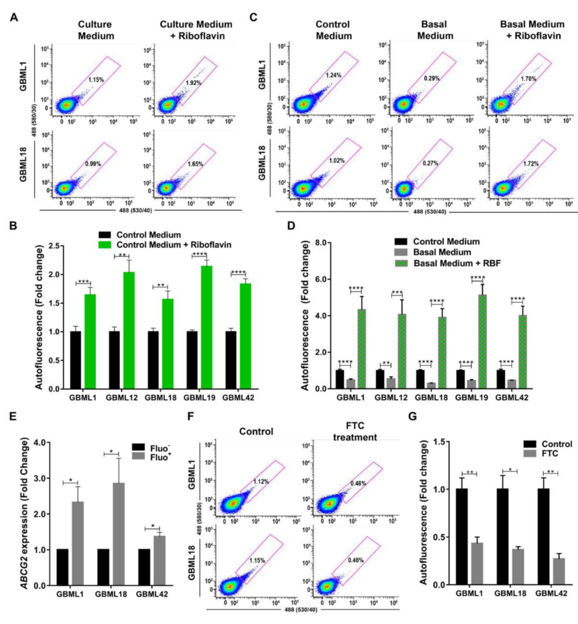 Cancers 13 00828 g005