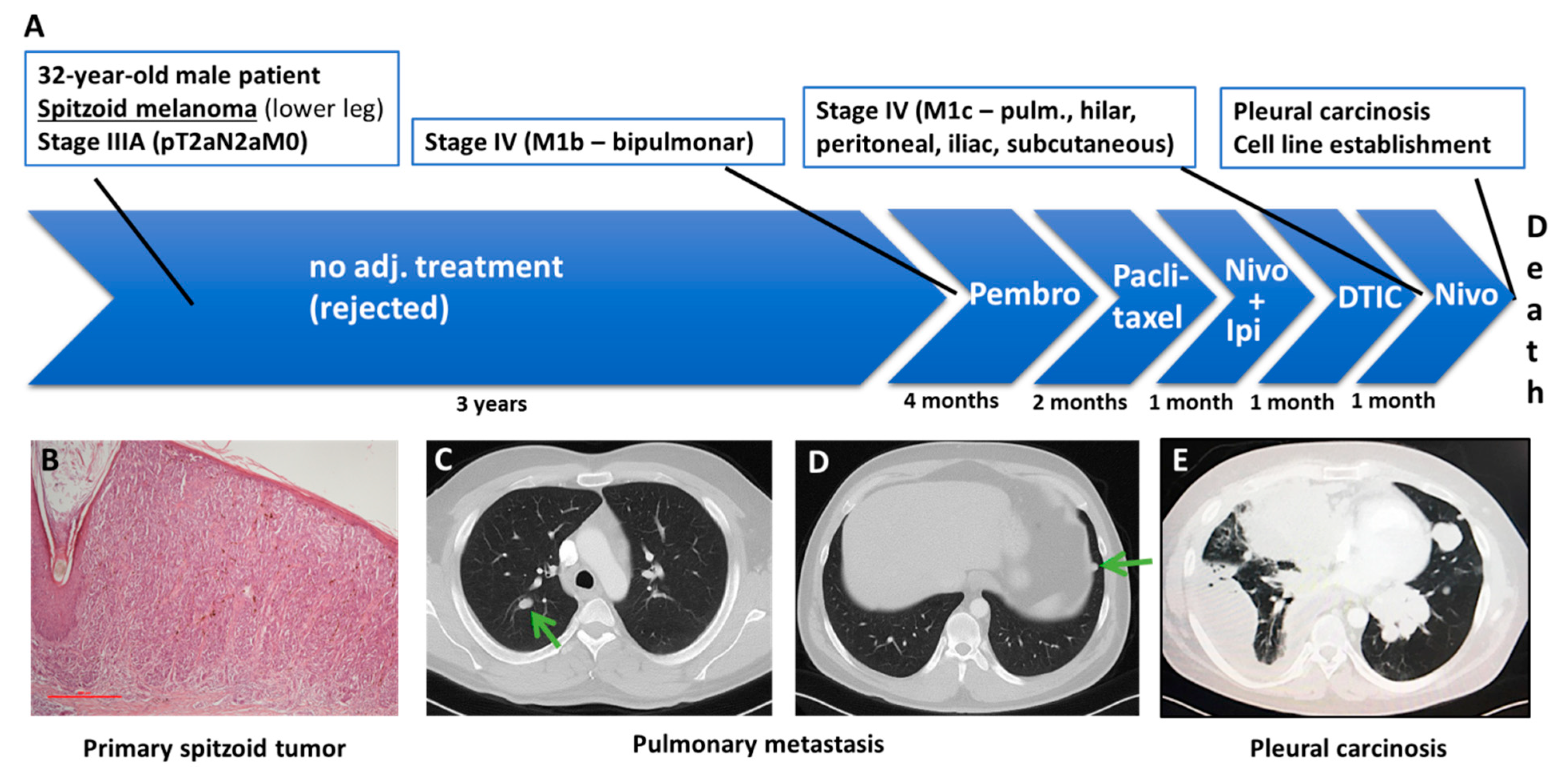 Cancers 13 00829 g001