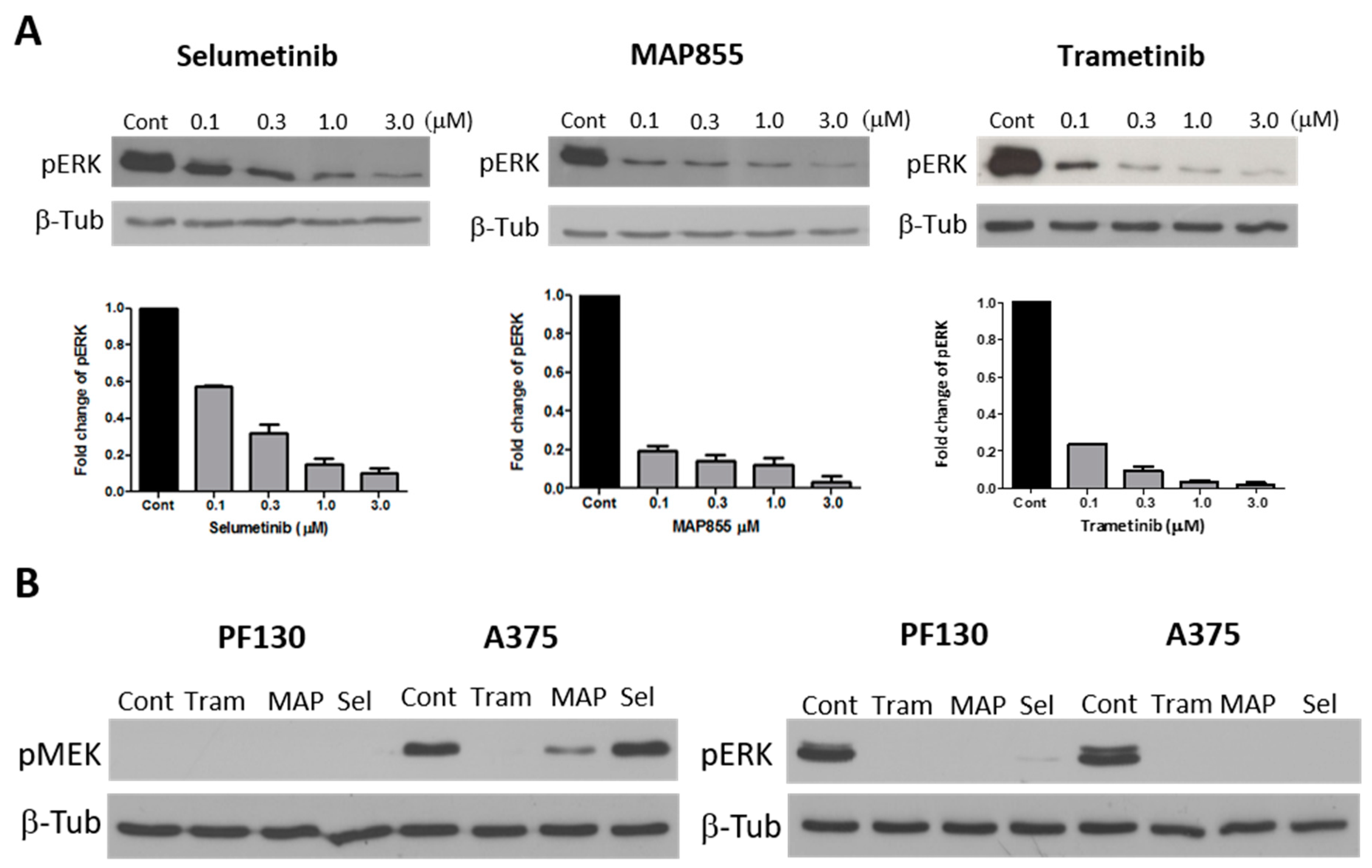Cancers 13 00829 g003