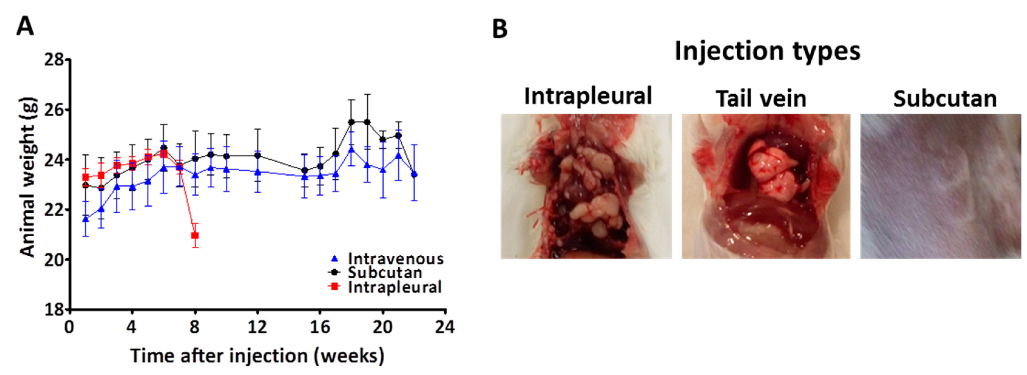 Cancers 13 00829 g004