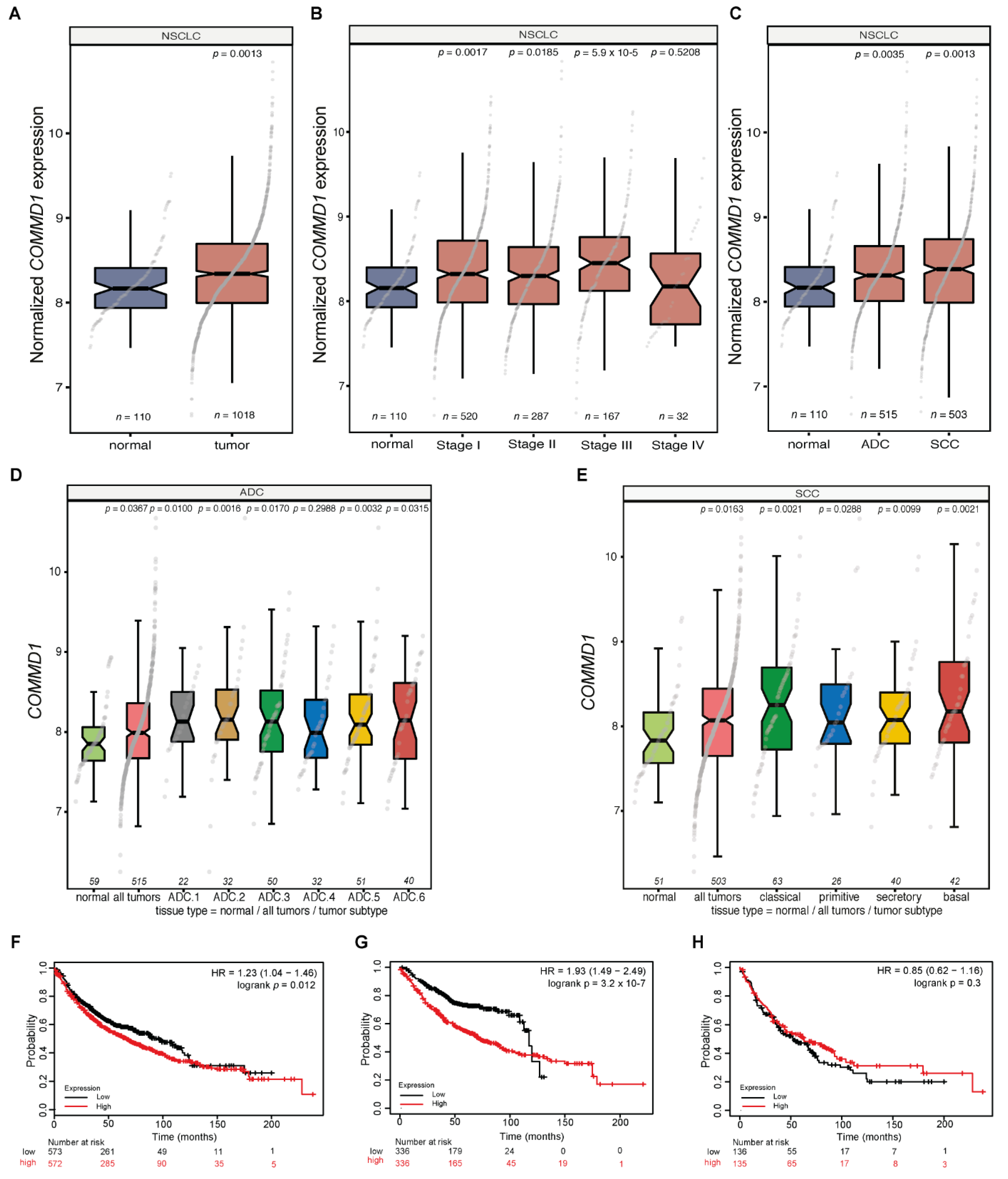 Cancers 13 00830 g002