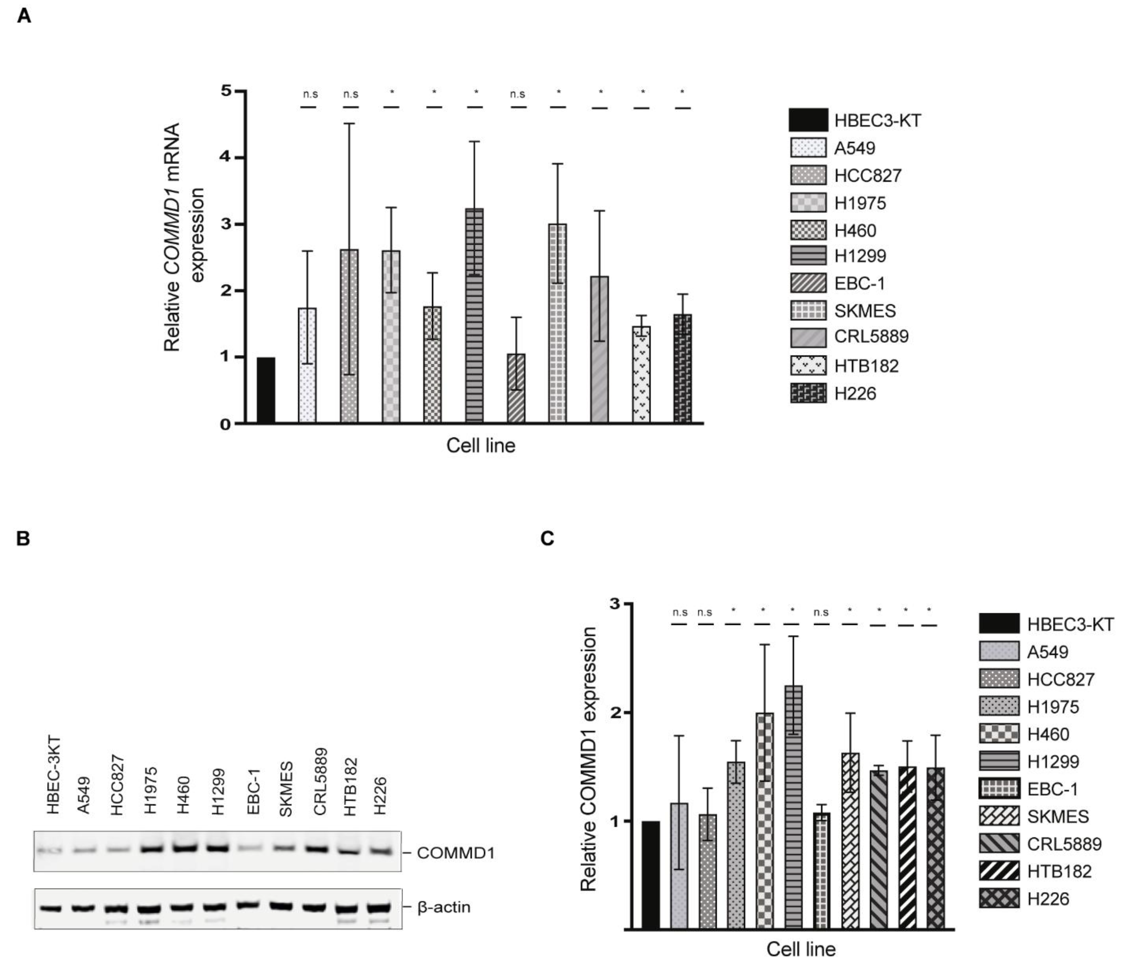 Cancers 13 00830 g003