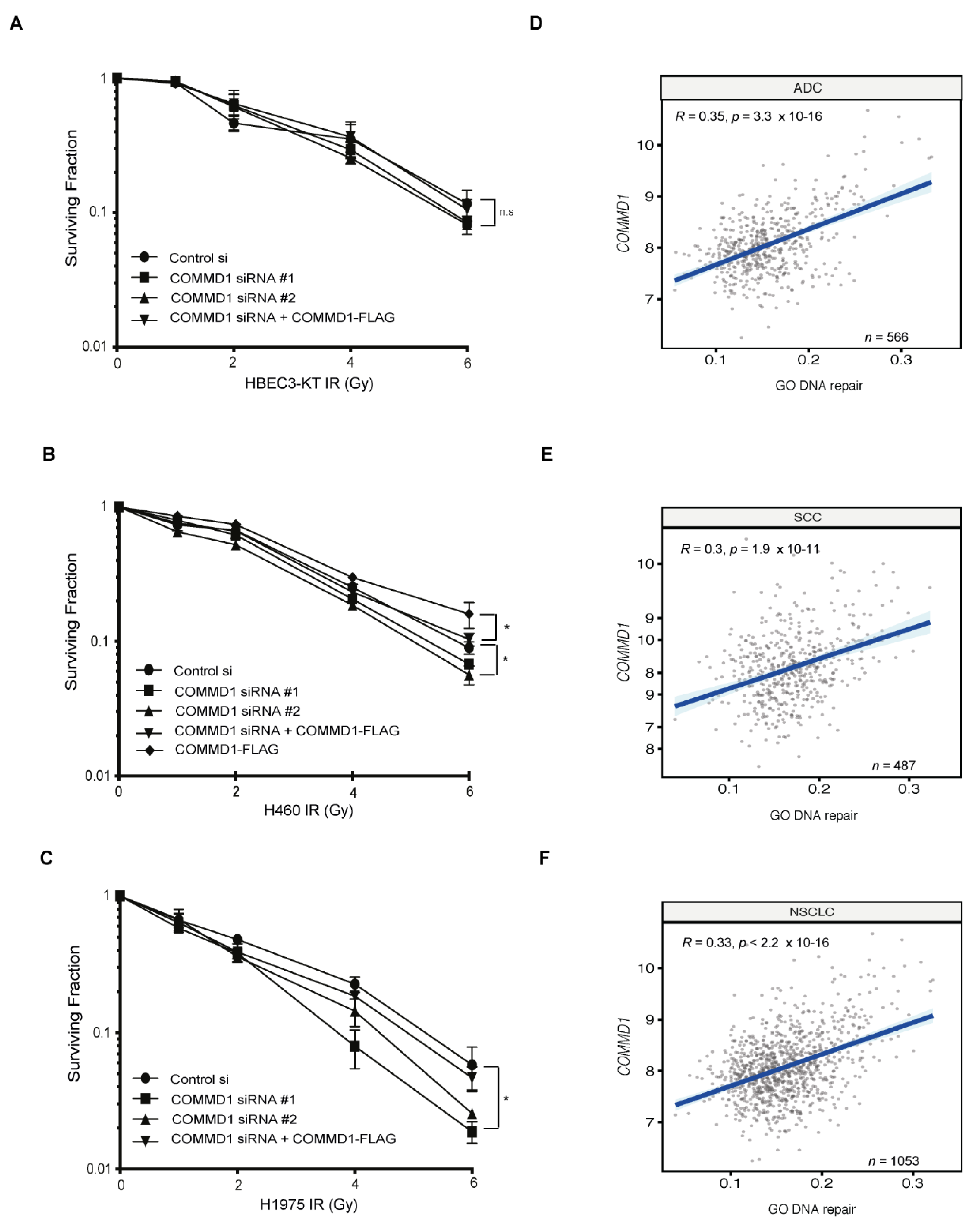 Cancers 13 00830 g005