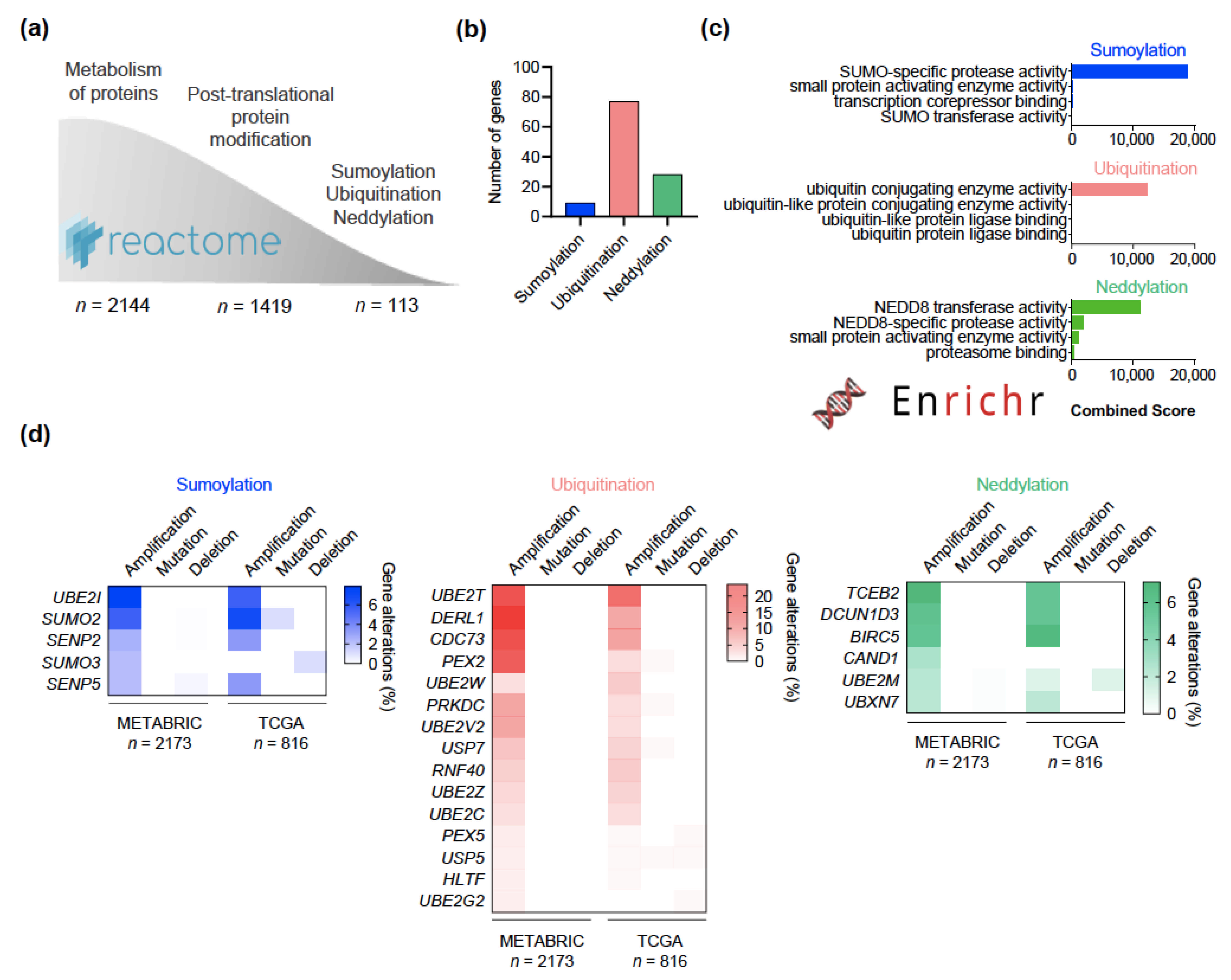 Cancers 13 00833 g001