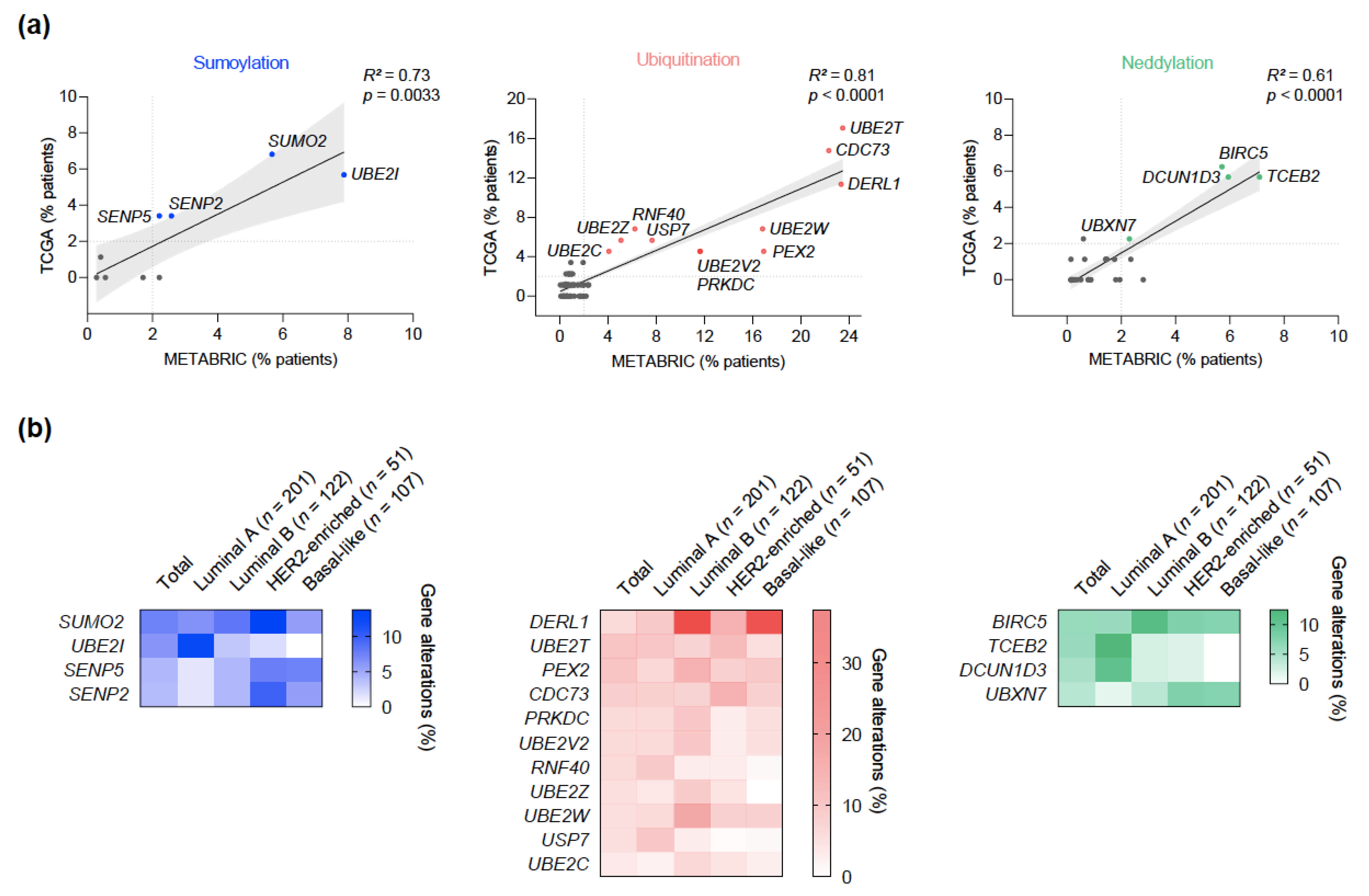 Cancers 13 00833 g002
